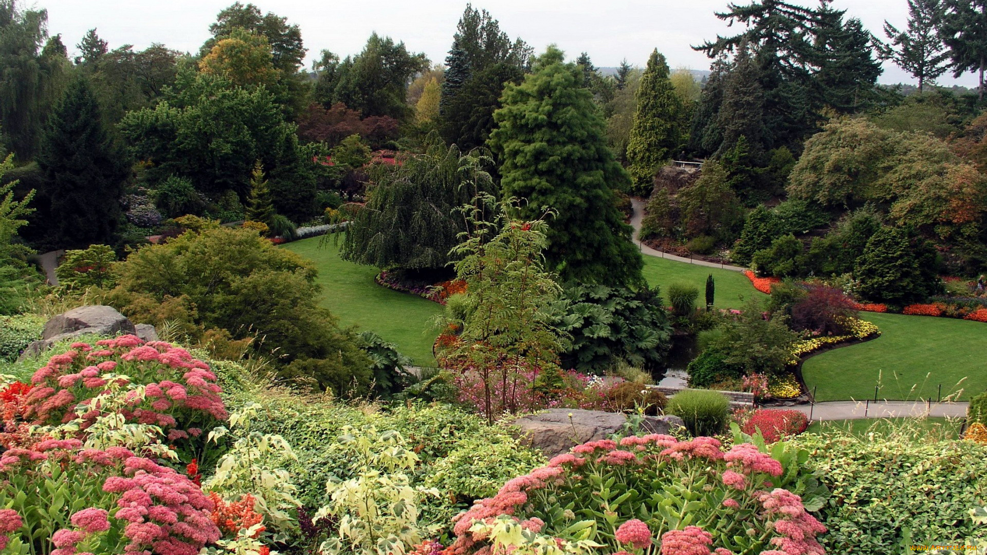 природа, парк, клумбы