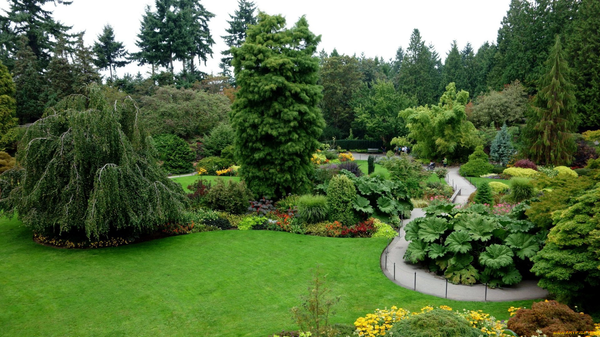 природа, парк, клумбы