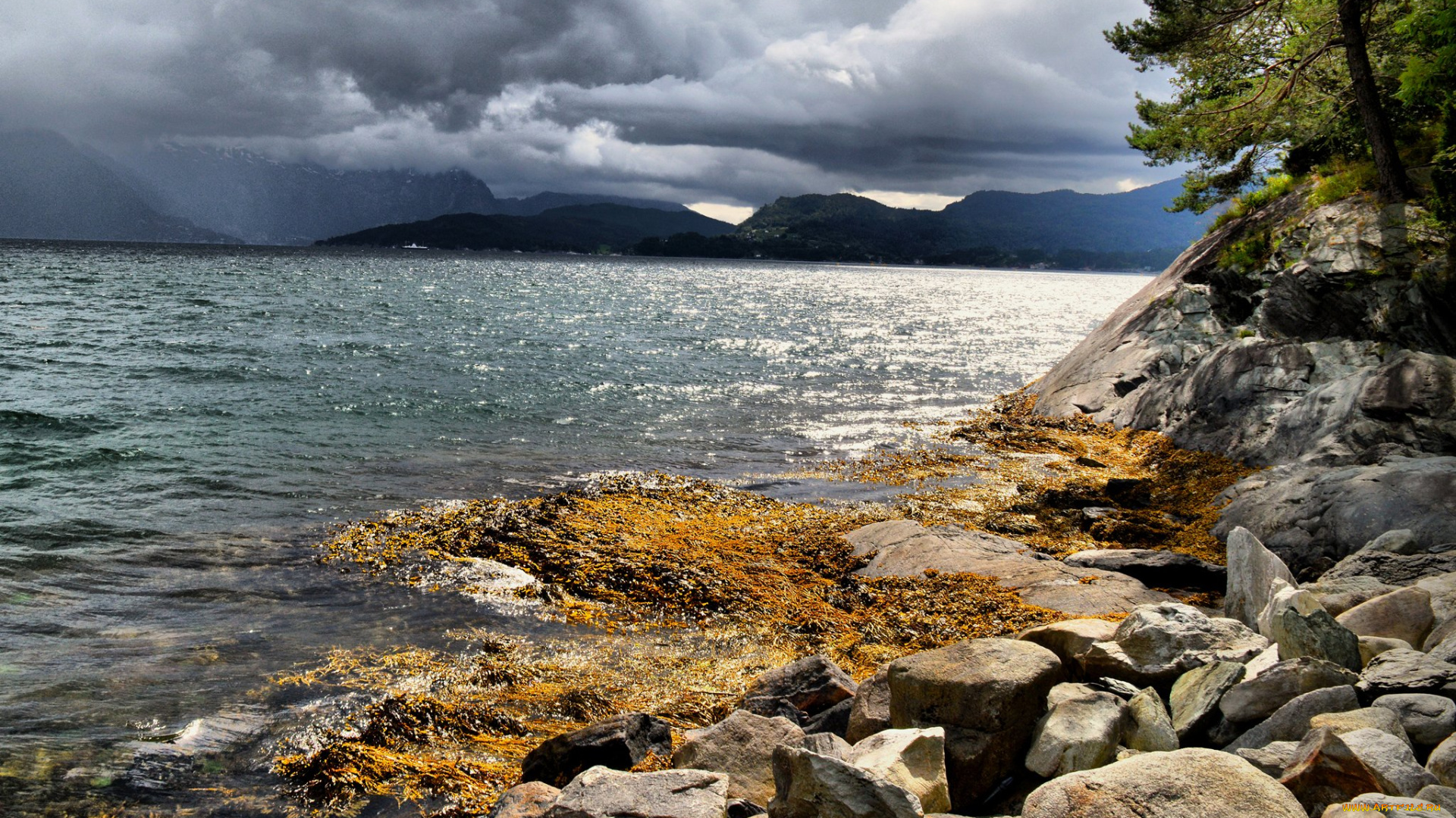 природа, побережье, камни