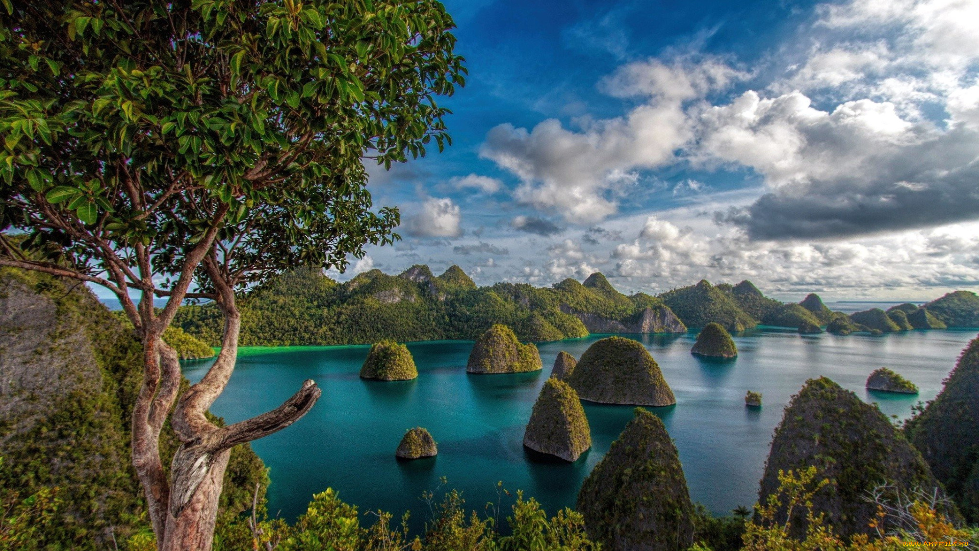 природа, реки, озера, озеро