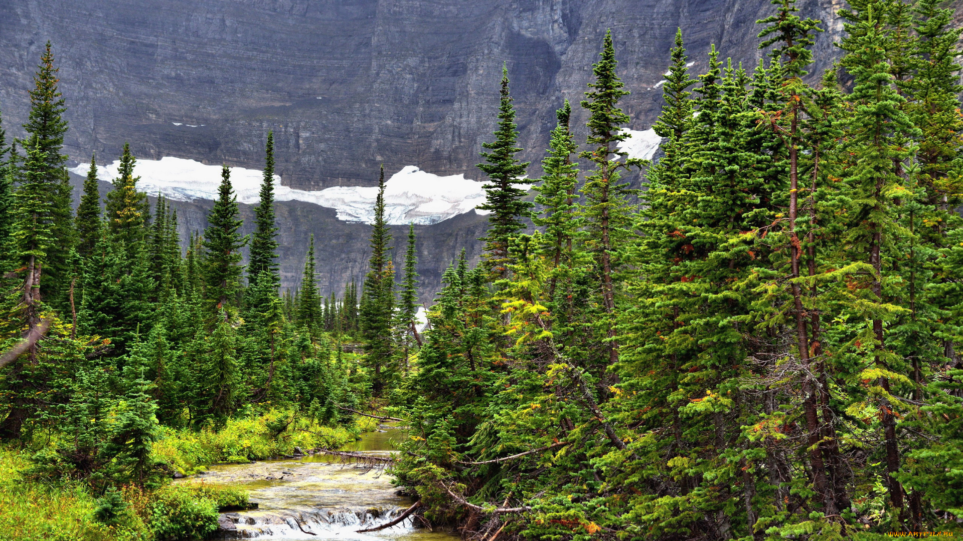 природа, реки, озера, река, горы