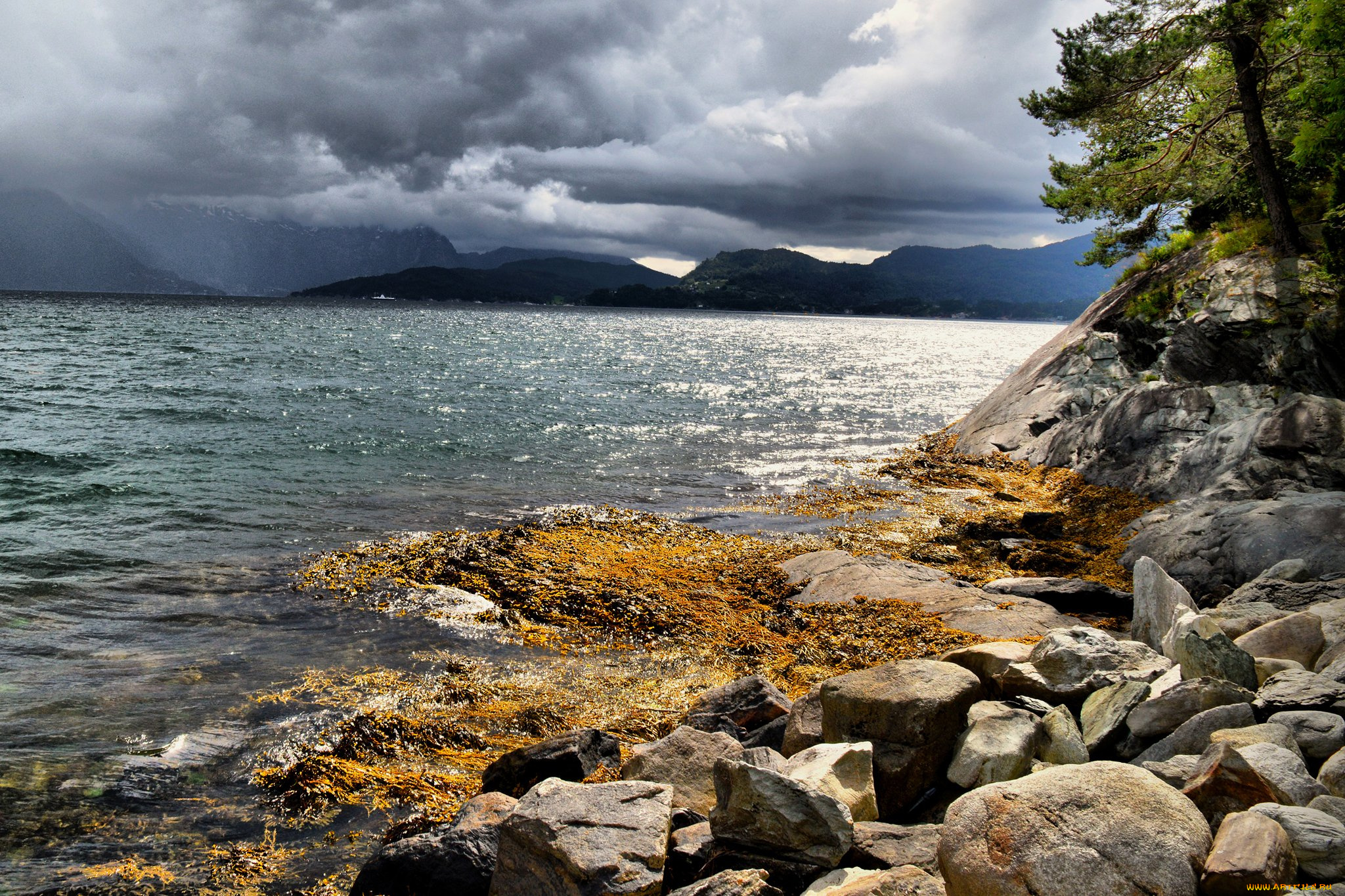 природа, побережье, камни