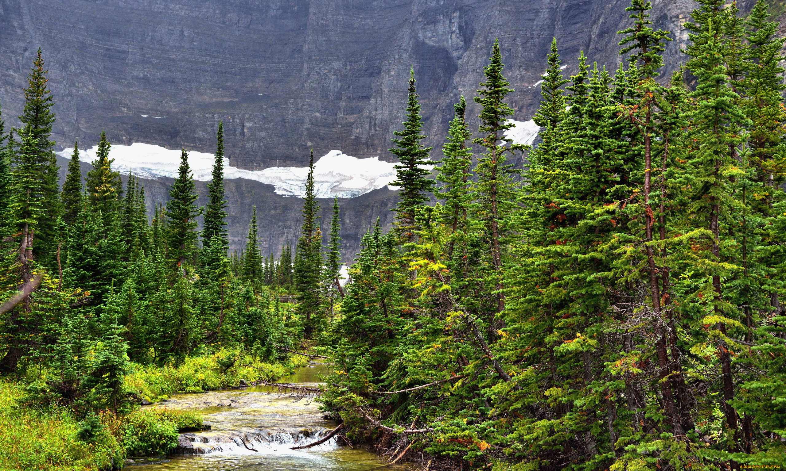 природа, реки, озера, река, горы