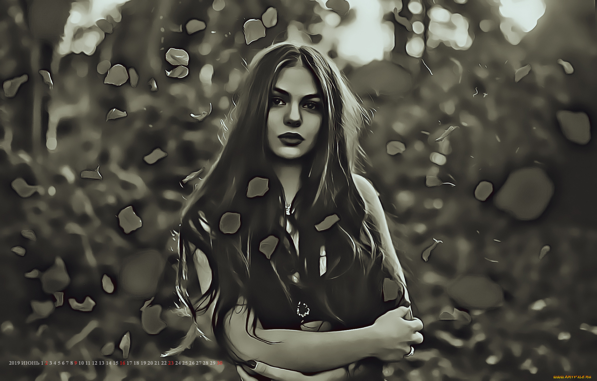 календари, компьютерный, дизайн, 2019, взгляд, девушка, листопад, листья, calendar, женщина