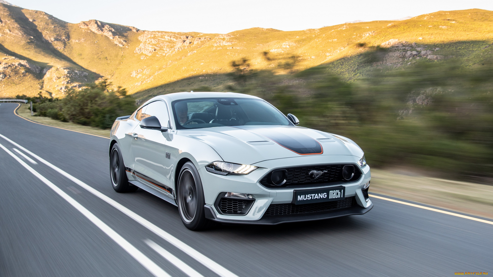 автомобили, mustang