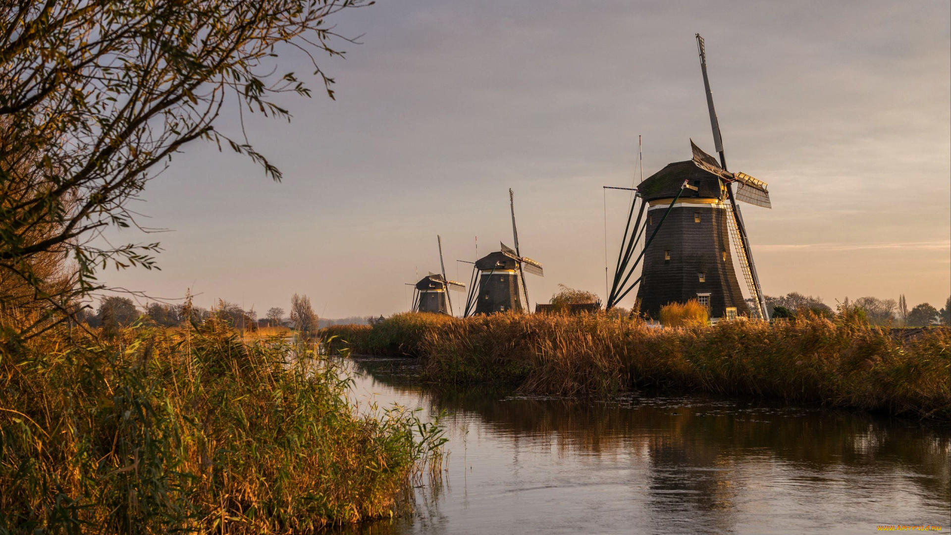 разное, мельницы, река, деревья