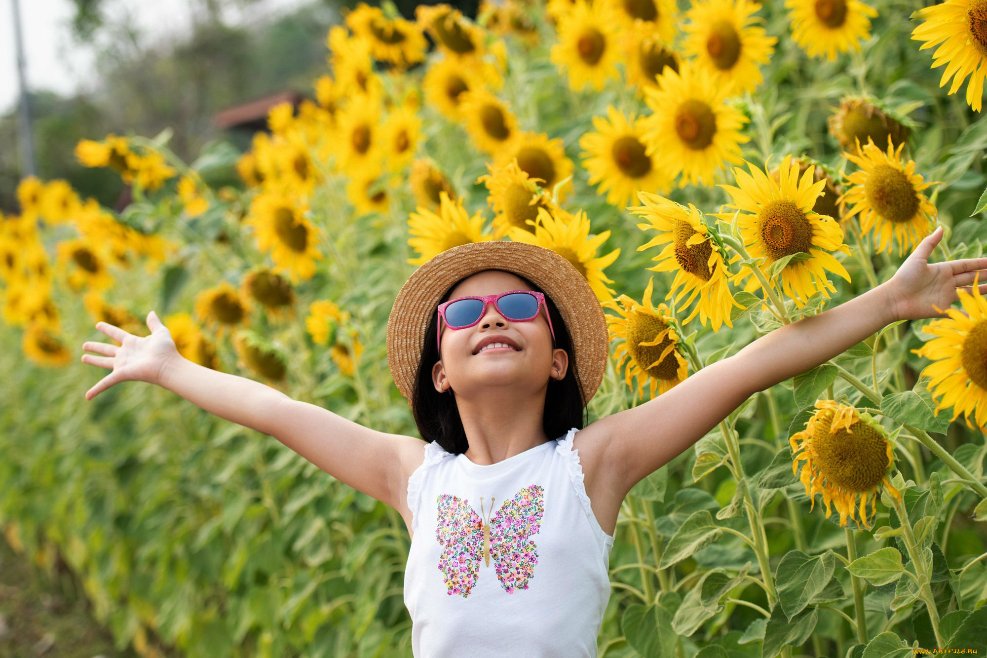 разное, настроения, лето, подсолнухи, девочка, радость