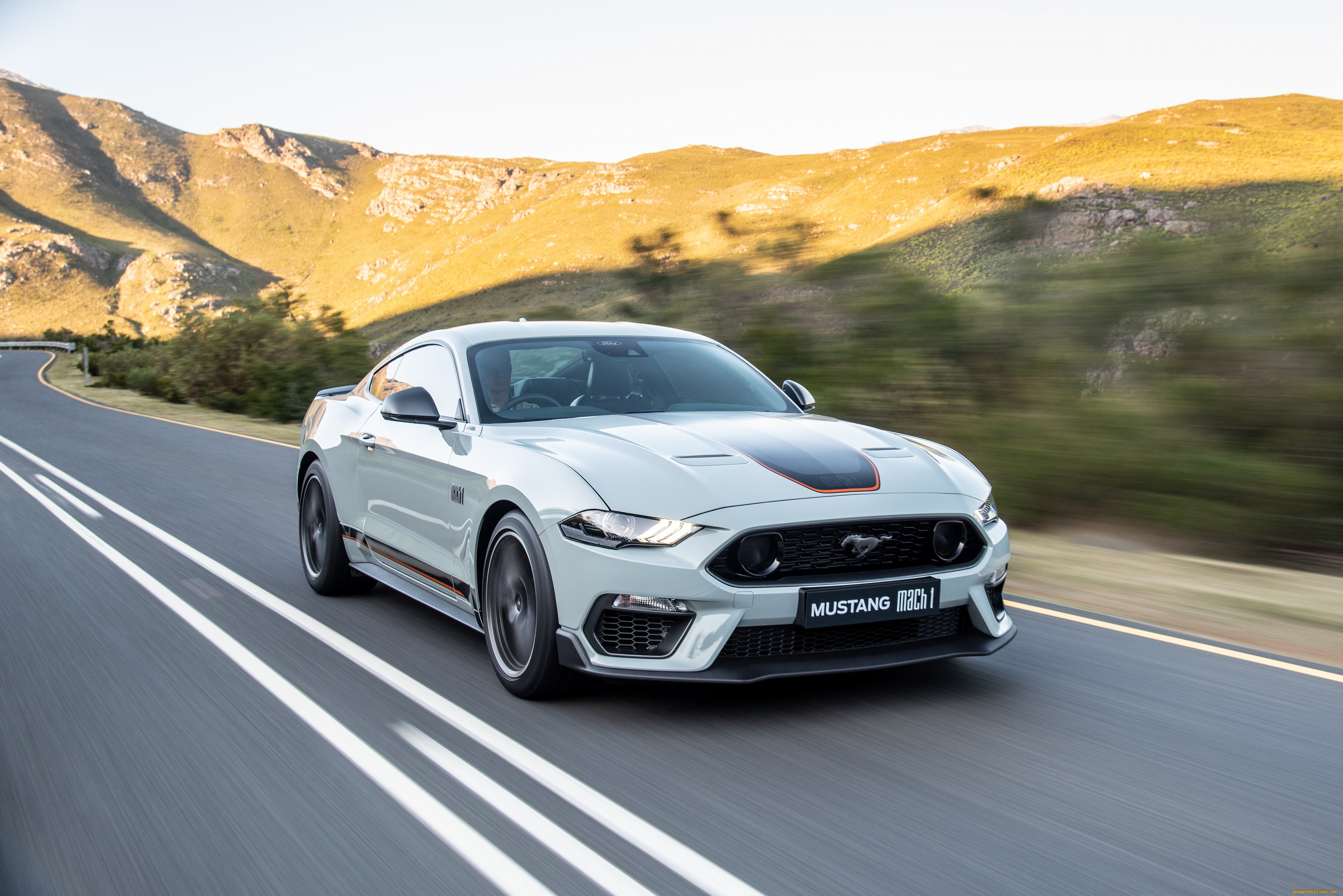 автомобили, mustang