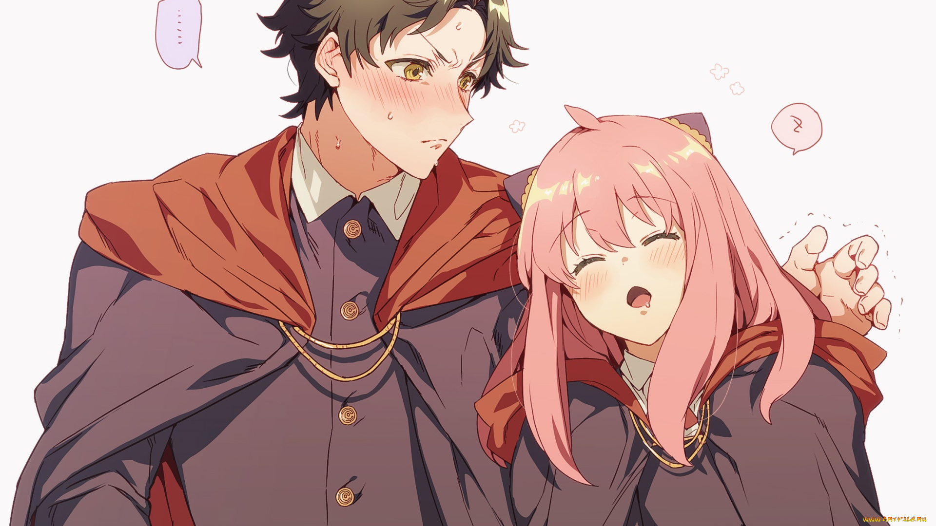 аниме, spy, x, family, spy, x, family