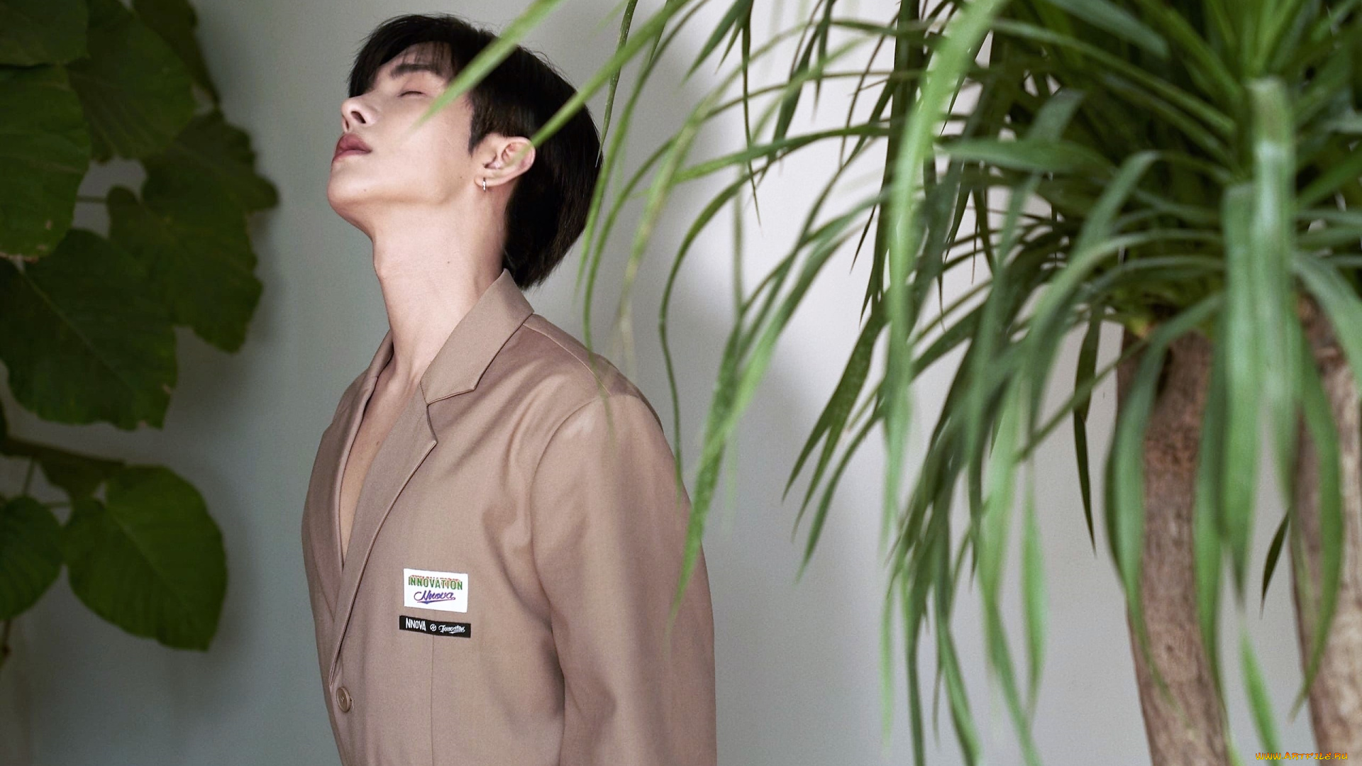 мужчины, zheng, fan, xing, актер, пиджак, сад