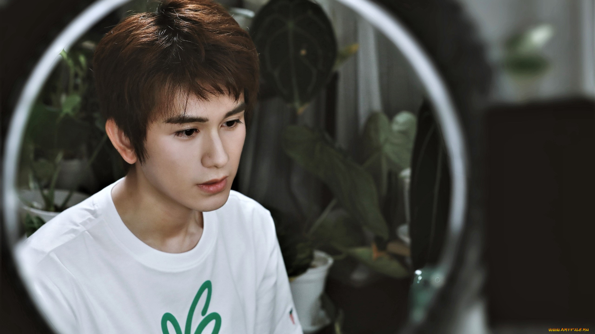 мужчины, zhu, zanjin, актер, лицо, цветы