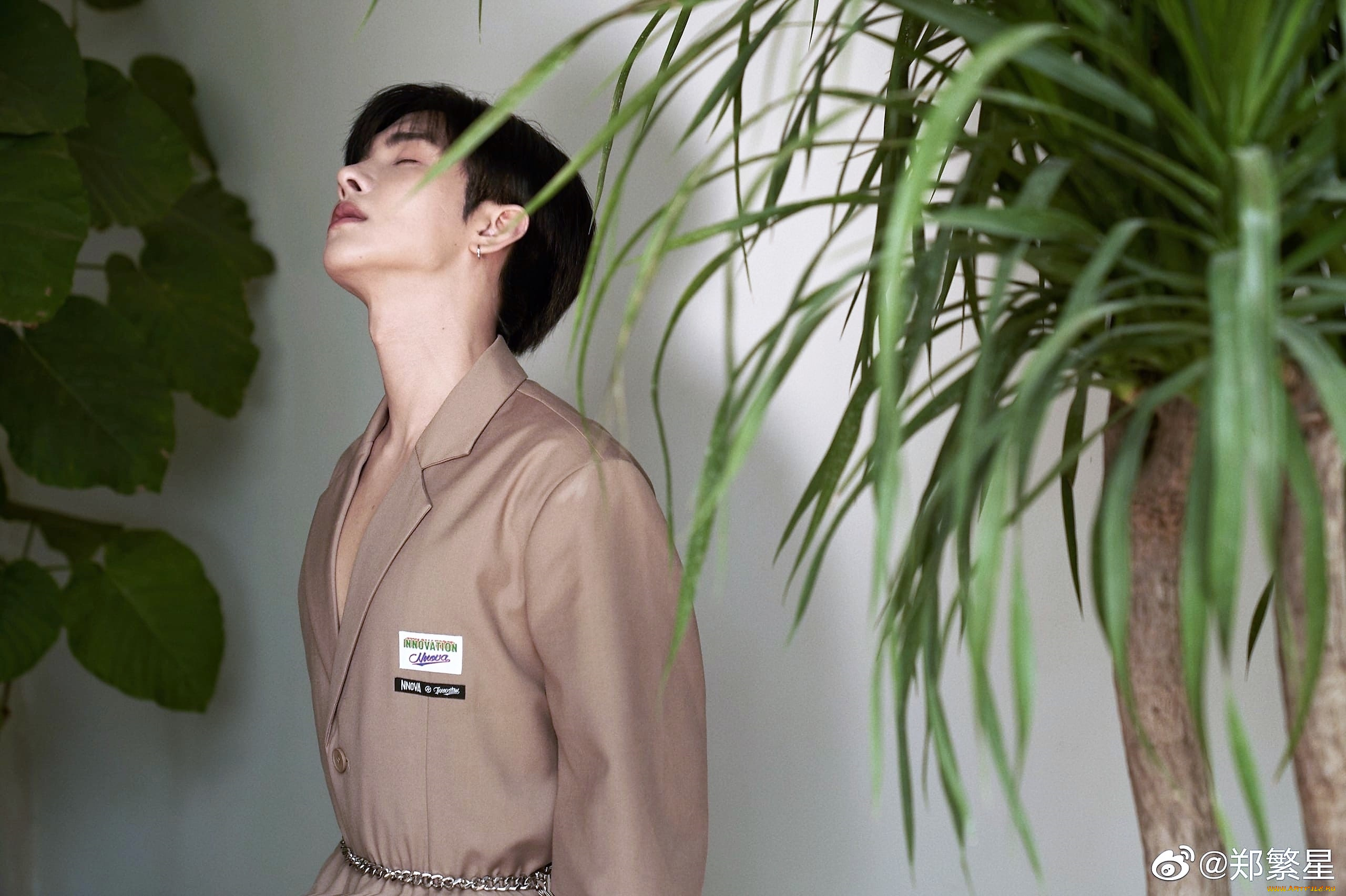 мужчины, zheng, fan, xing, актер, пиджак, сад