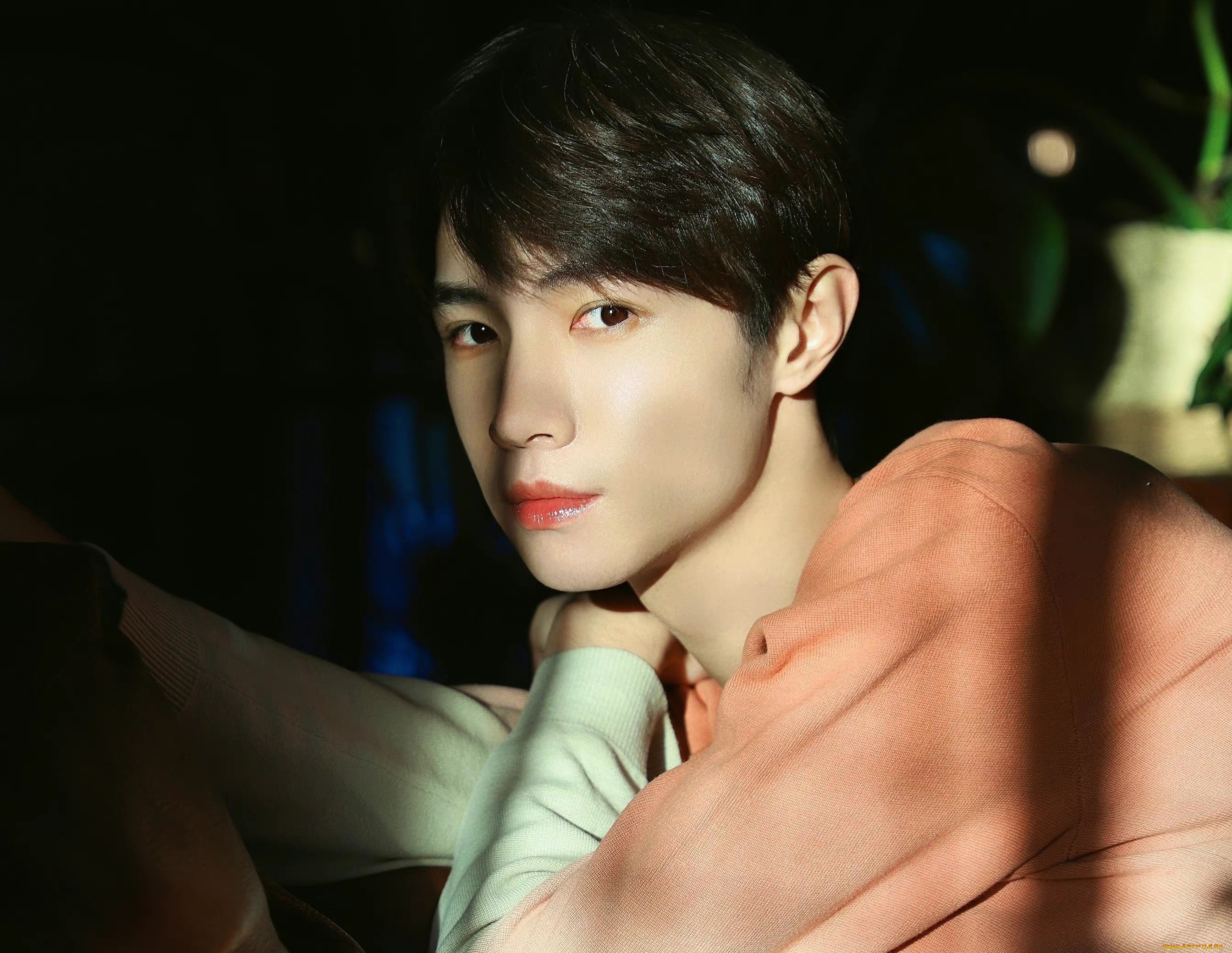 мужчины, song, ji, yang, сун, цзиян, китайский, актёр, певец