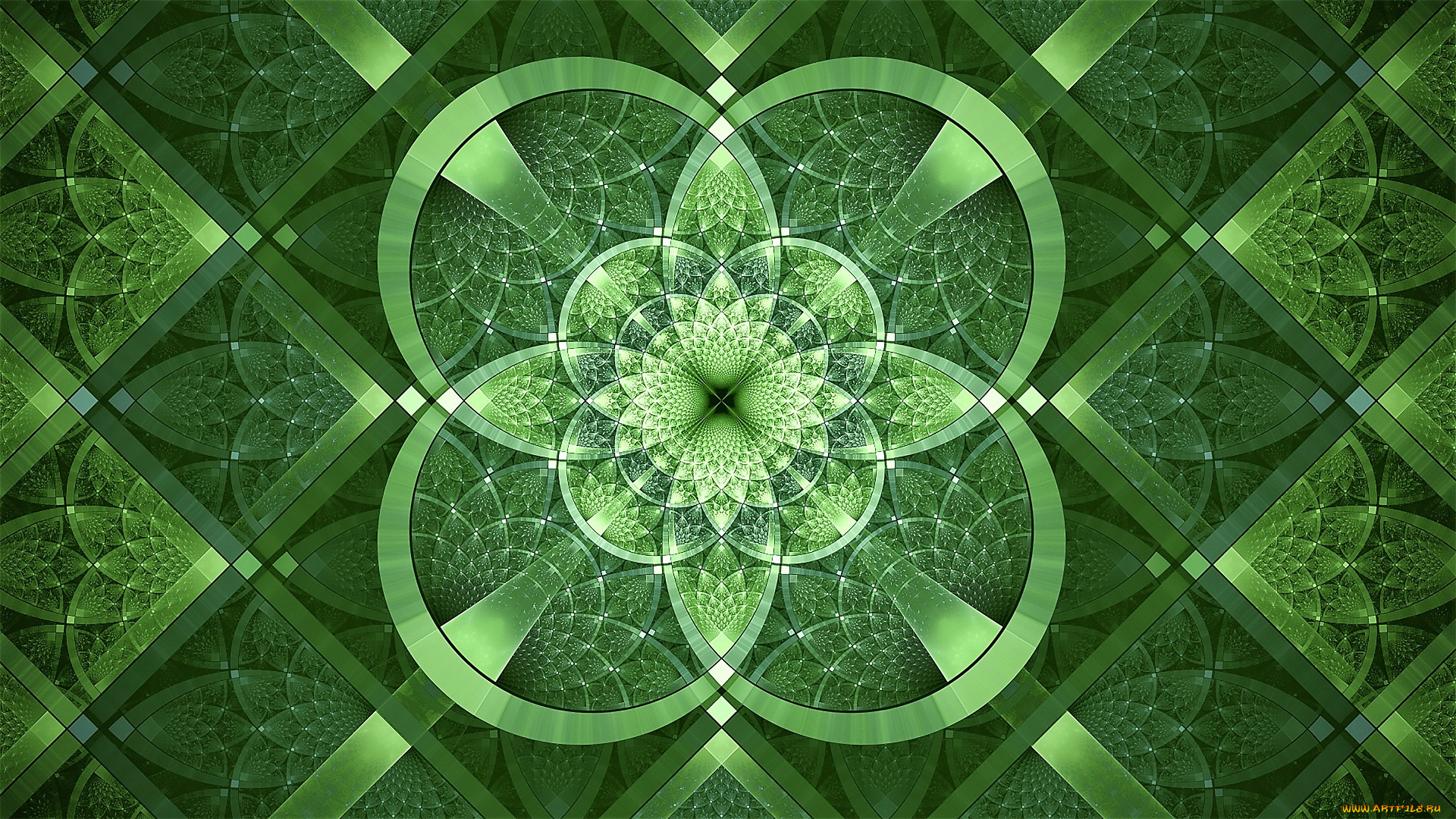 3д, графика, цветы, , flowers, цветок, клетки, сектора