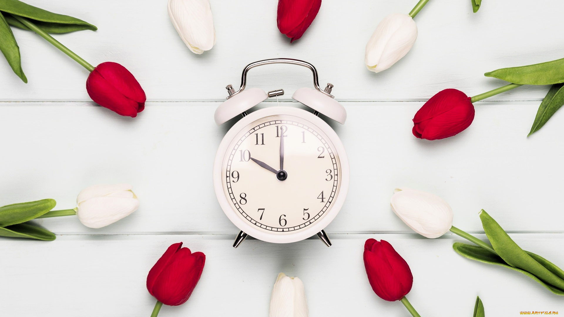 разное, часы, , часовые, механизмы, будильник, цветы, тюльпаны