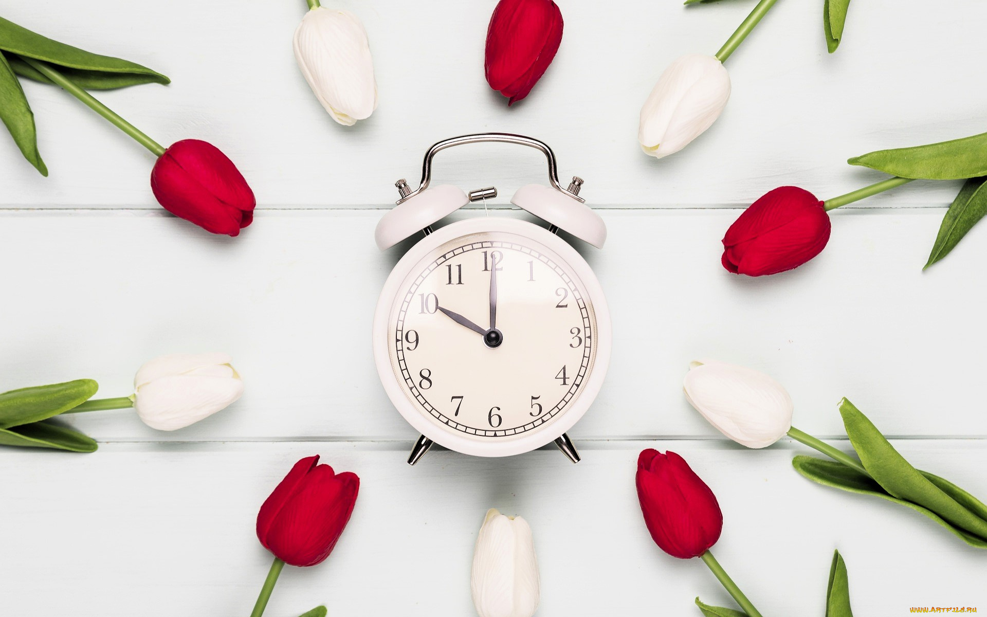 разное, часы, , часовые, механизмы, будильник, цветы, тюльпаны