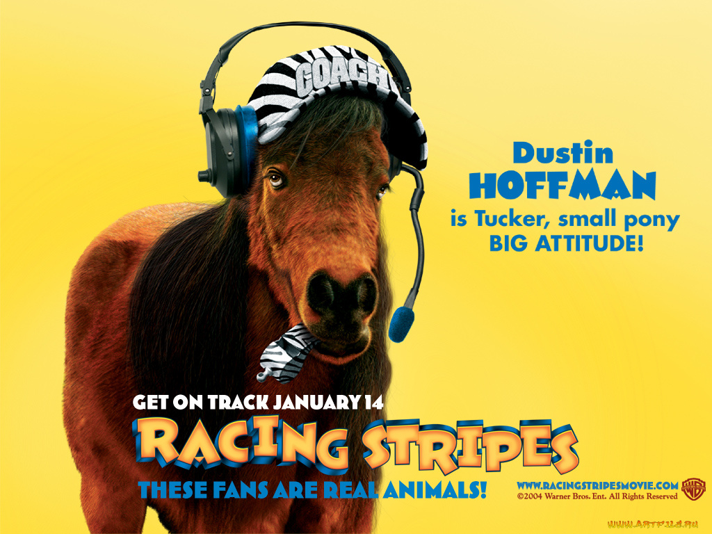 racing, stripes, мультфильмы