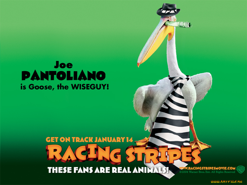 racing, stripes, мультфильмы