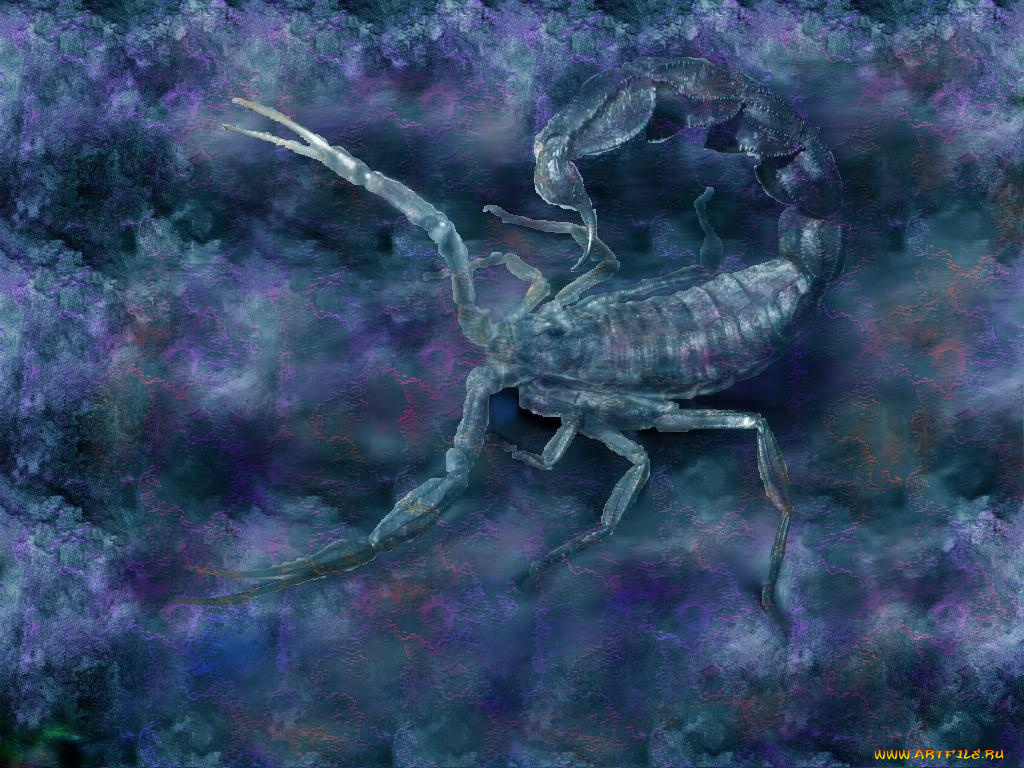 скорпион, животные, скорпионы