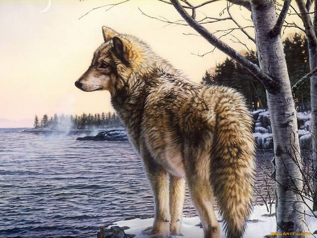 рисованные, животные