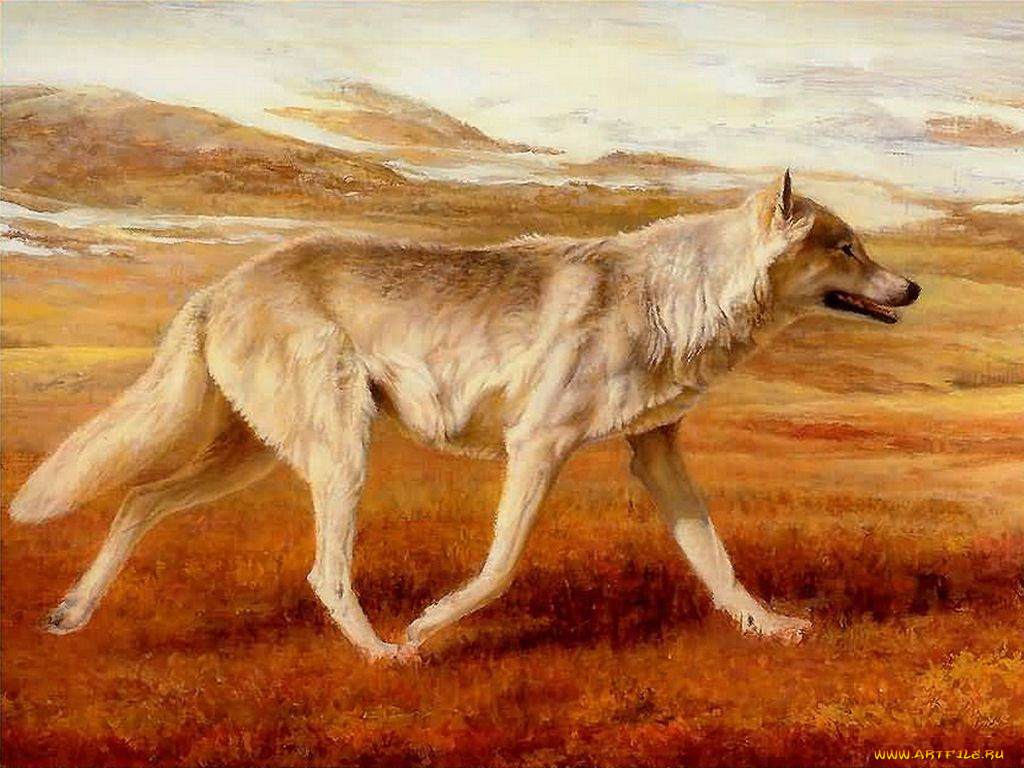 рисованные, животные