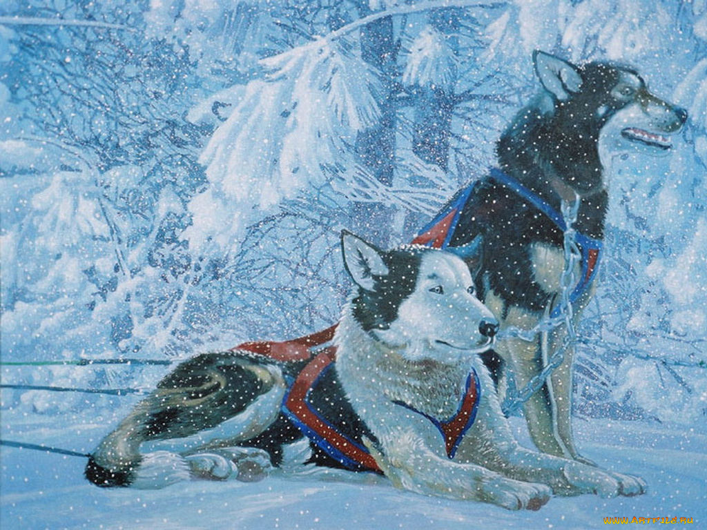 рисованные, животные