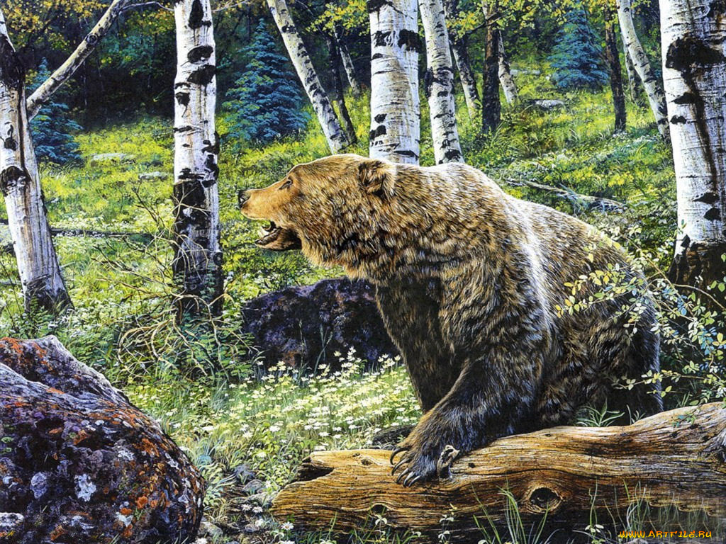 рисованные, животные