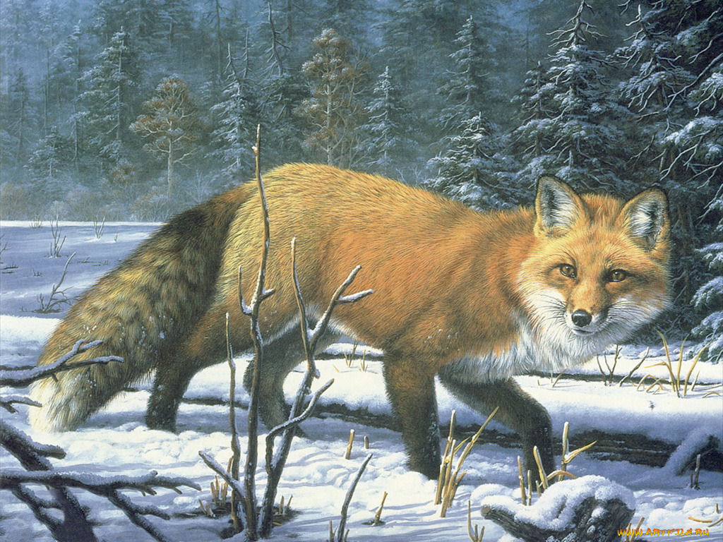 рисованные, животные