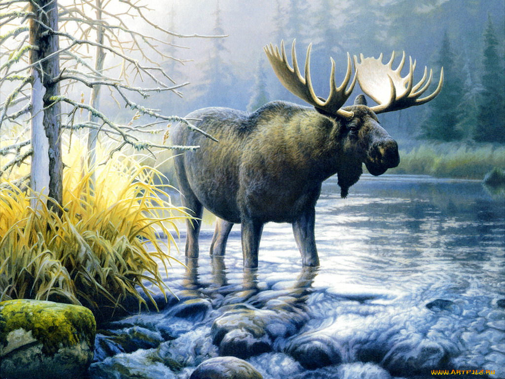 рисованные, животные