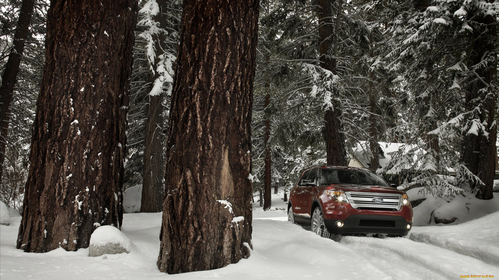 ford, explorer, автомобили