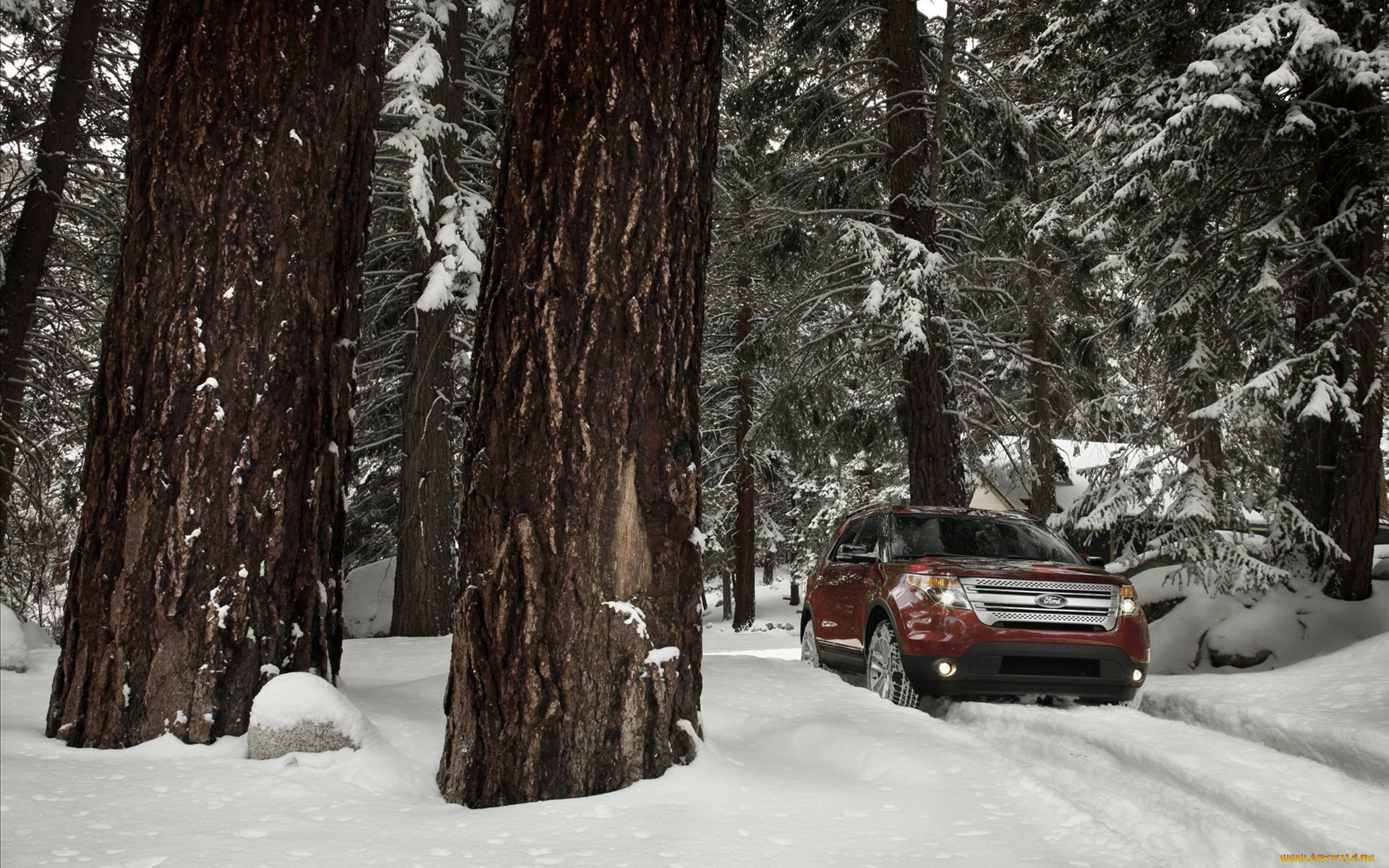 ford, explorer, автомобили