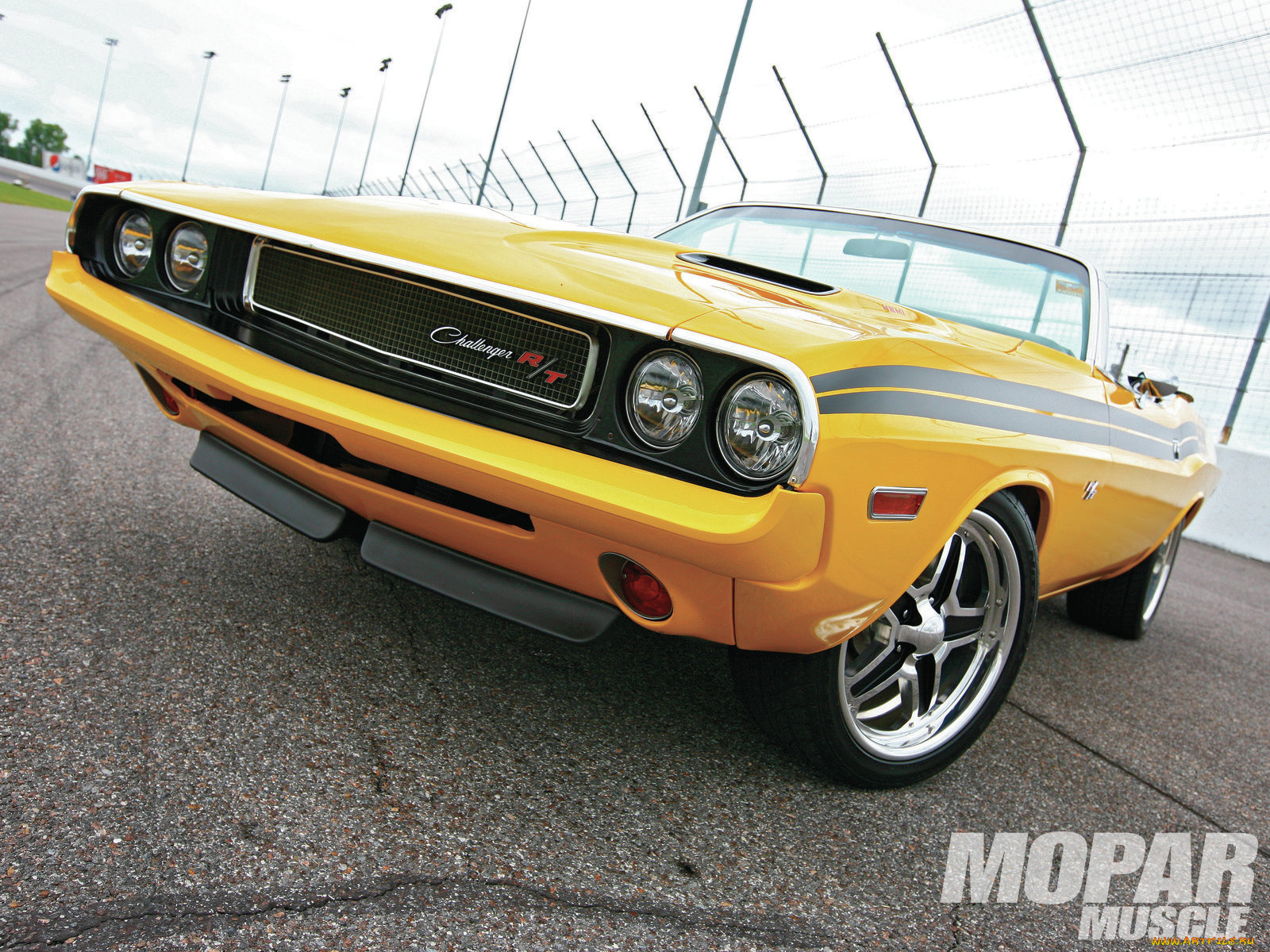 1970, dodge, challenger, автомобили