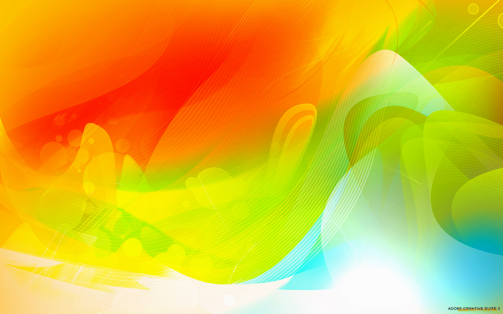 компьютеры, adobe