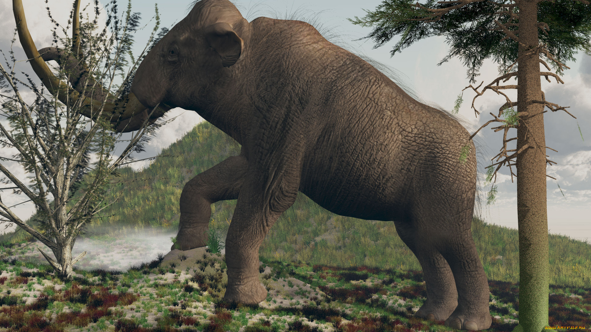 3д, графика, animals, животные, слон