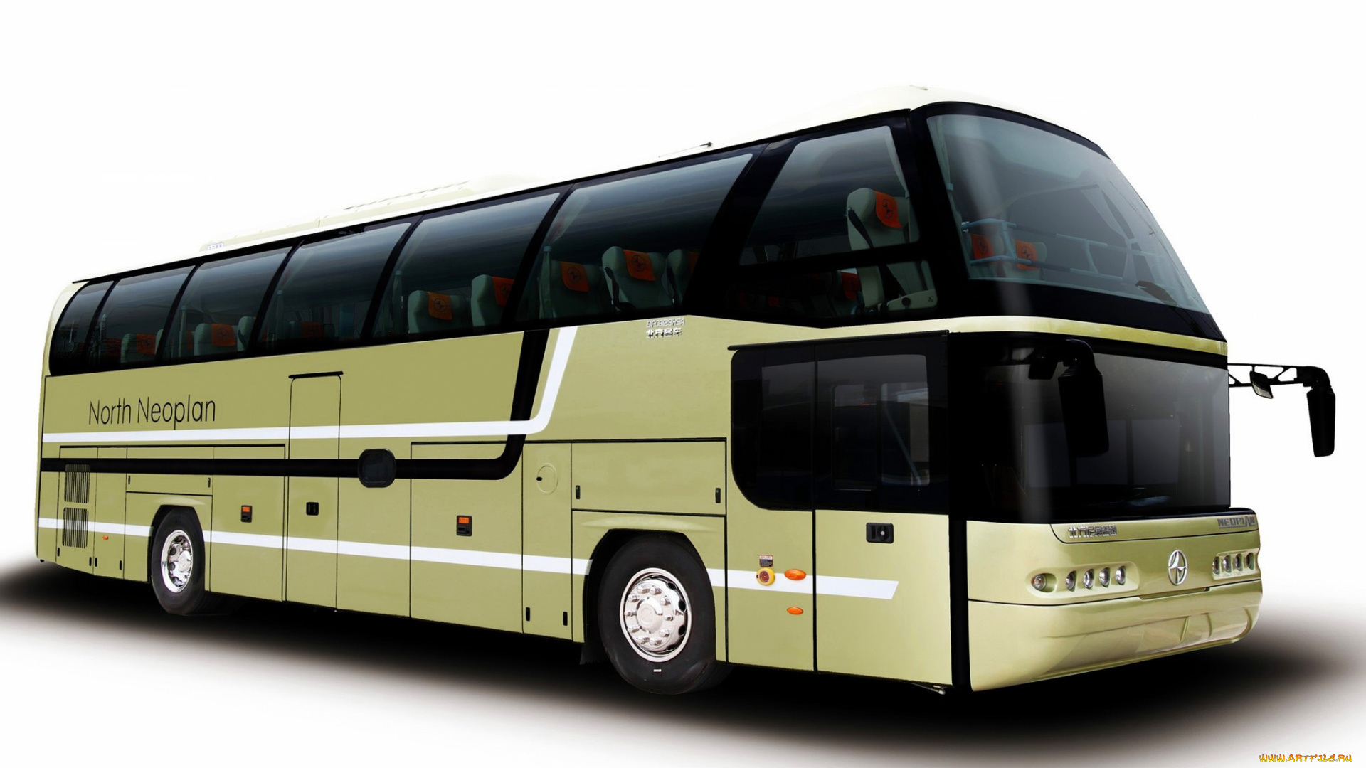 автомобили, автобусы, bus