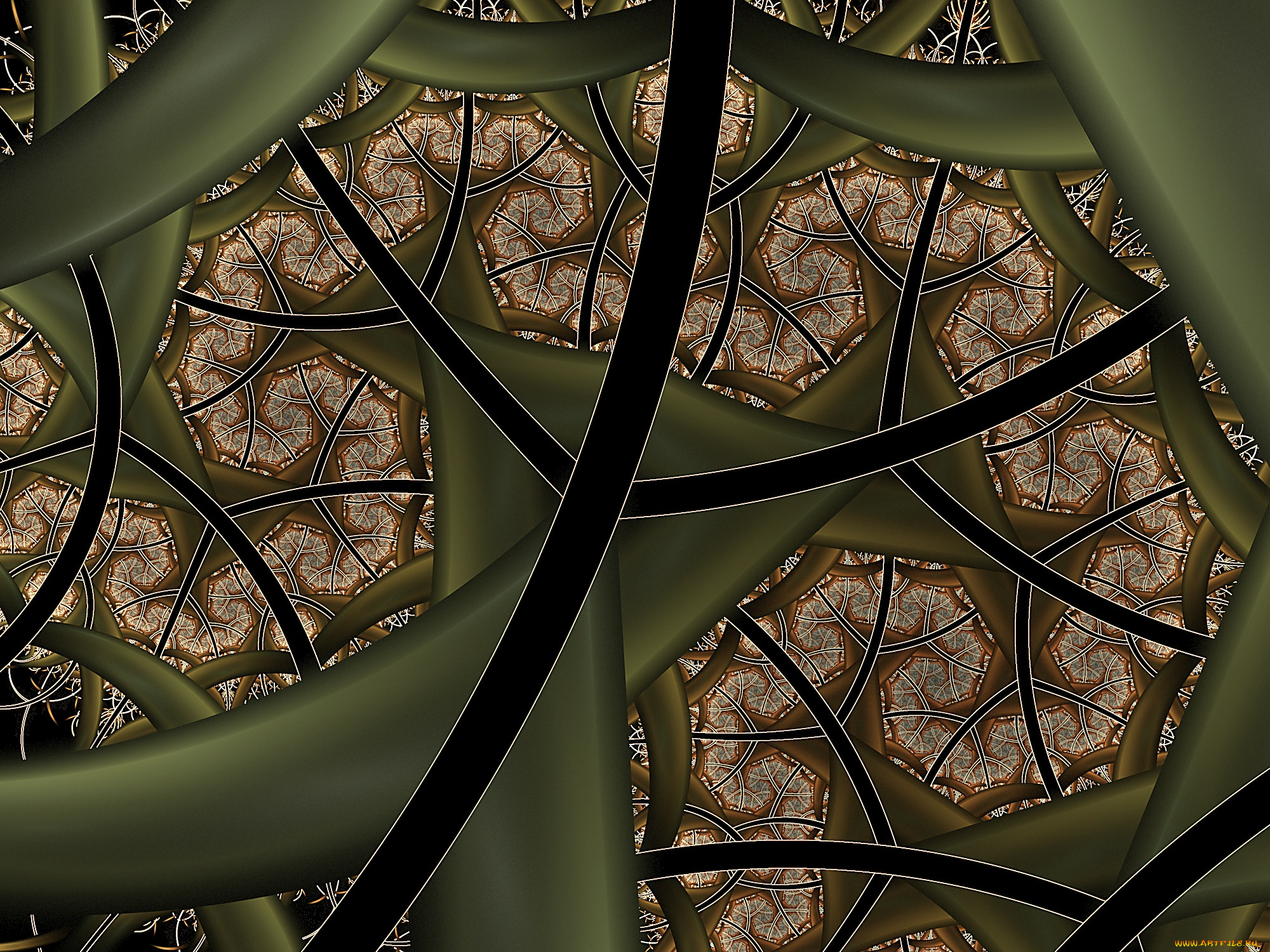 3д, графика, fractal, фракталы, фон, узор, цвета