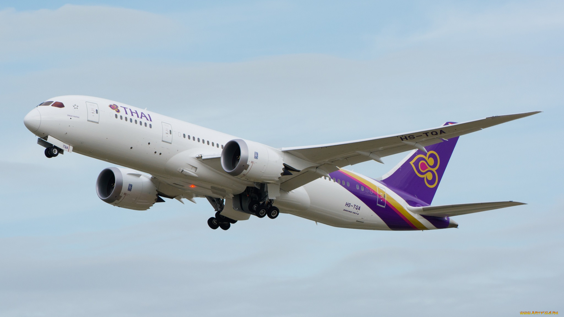 boeing, 787, авиация, пассажирские, самолёты, авиалайнер, небо, полет