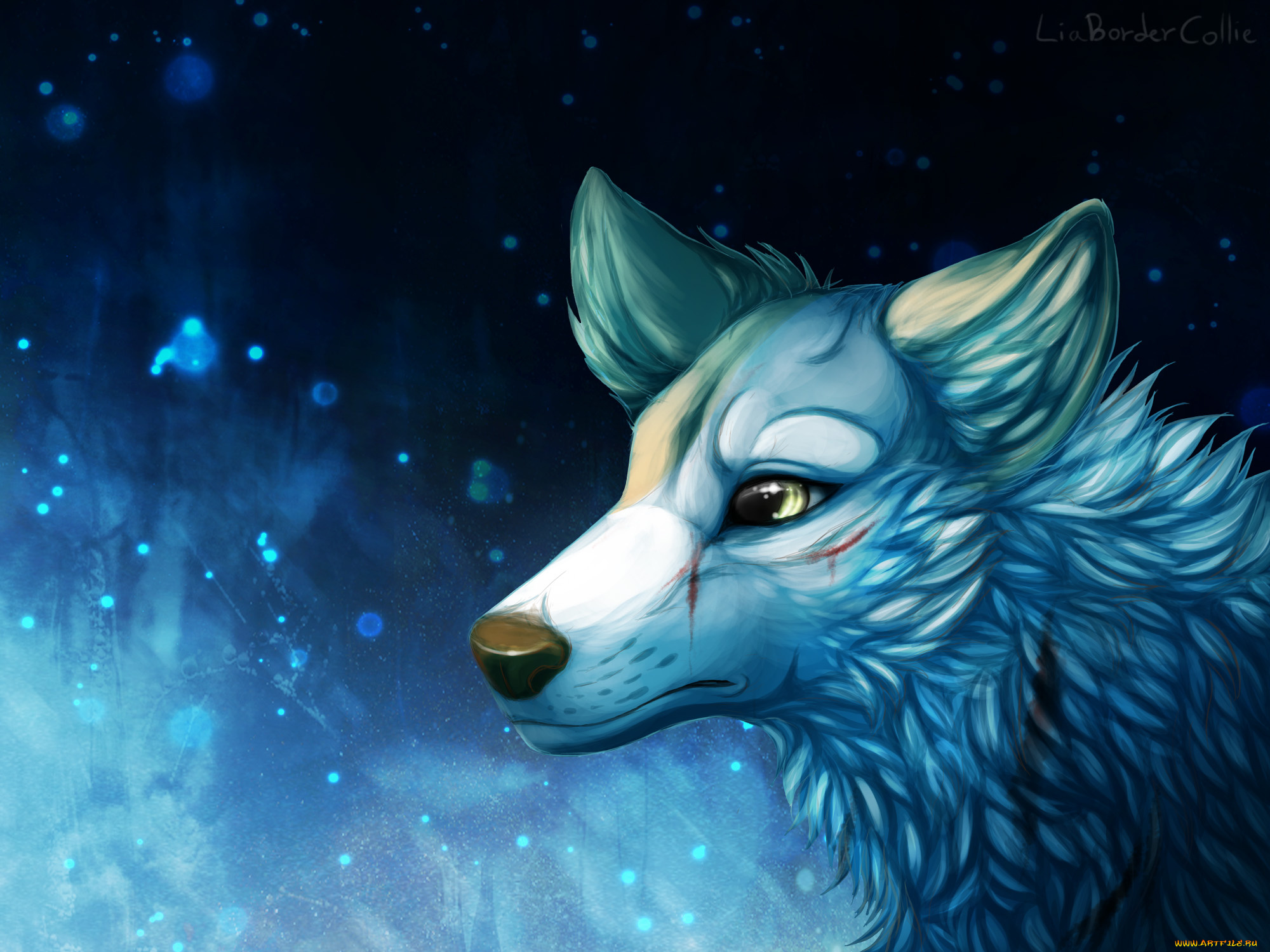 рисованные, животные, , собаки, животное, арт