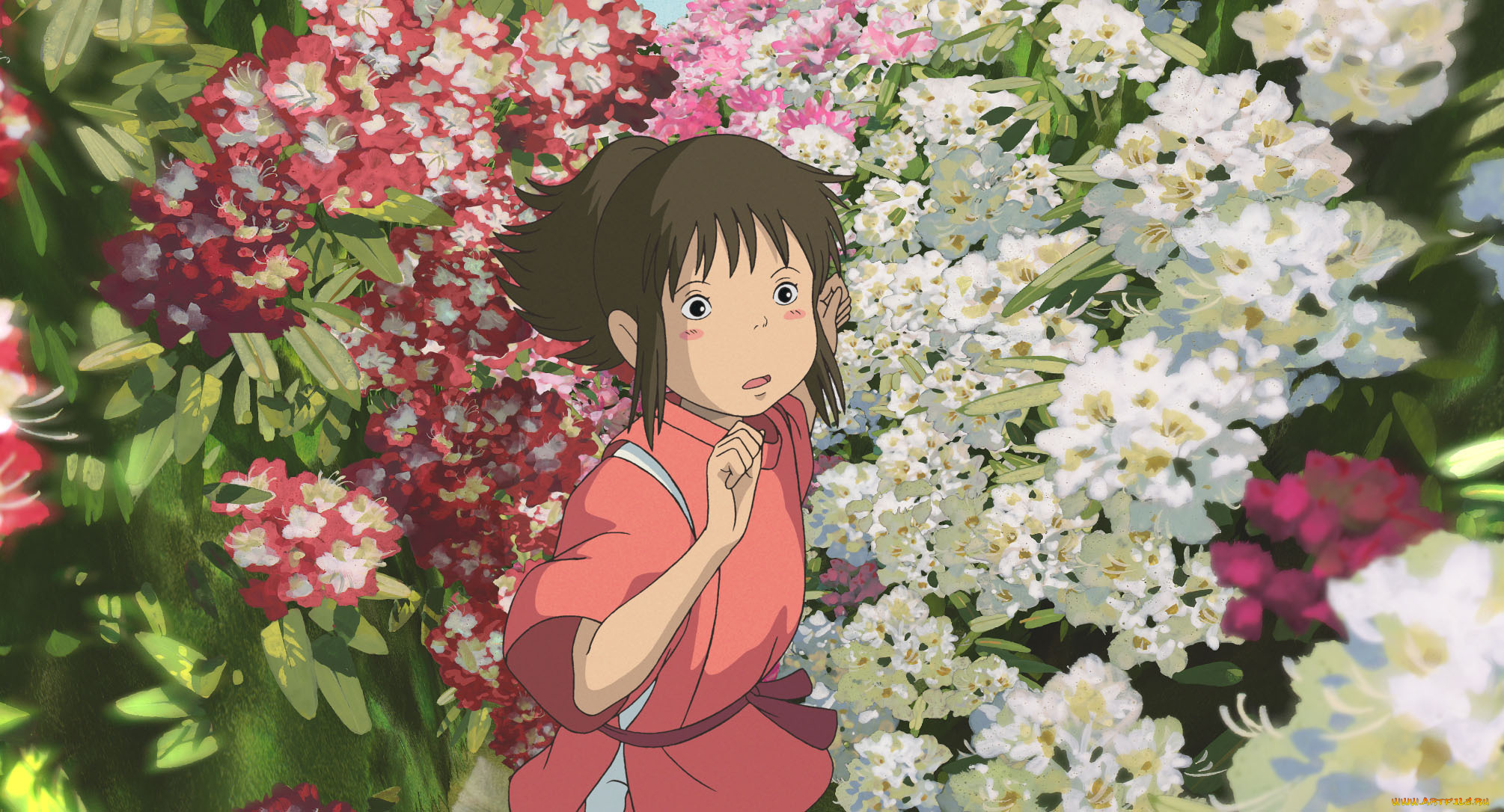 аниме, spirited, away, хаяо, миядзаки, тихиро, унесенные, призраками, spirited, away, цветы, девочка
