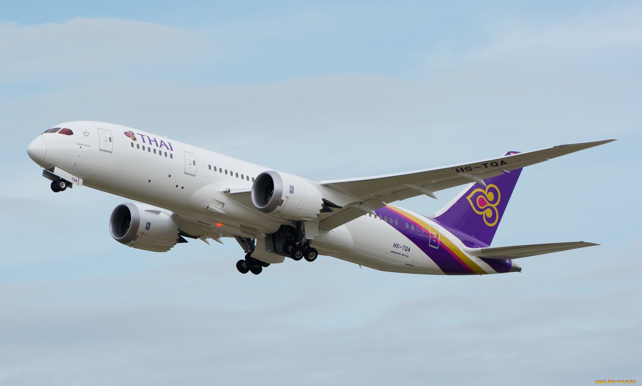 boeing, 787, авиация, пассажирские, самолёты, авиалайнер, небо, полет