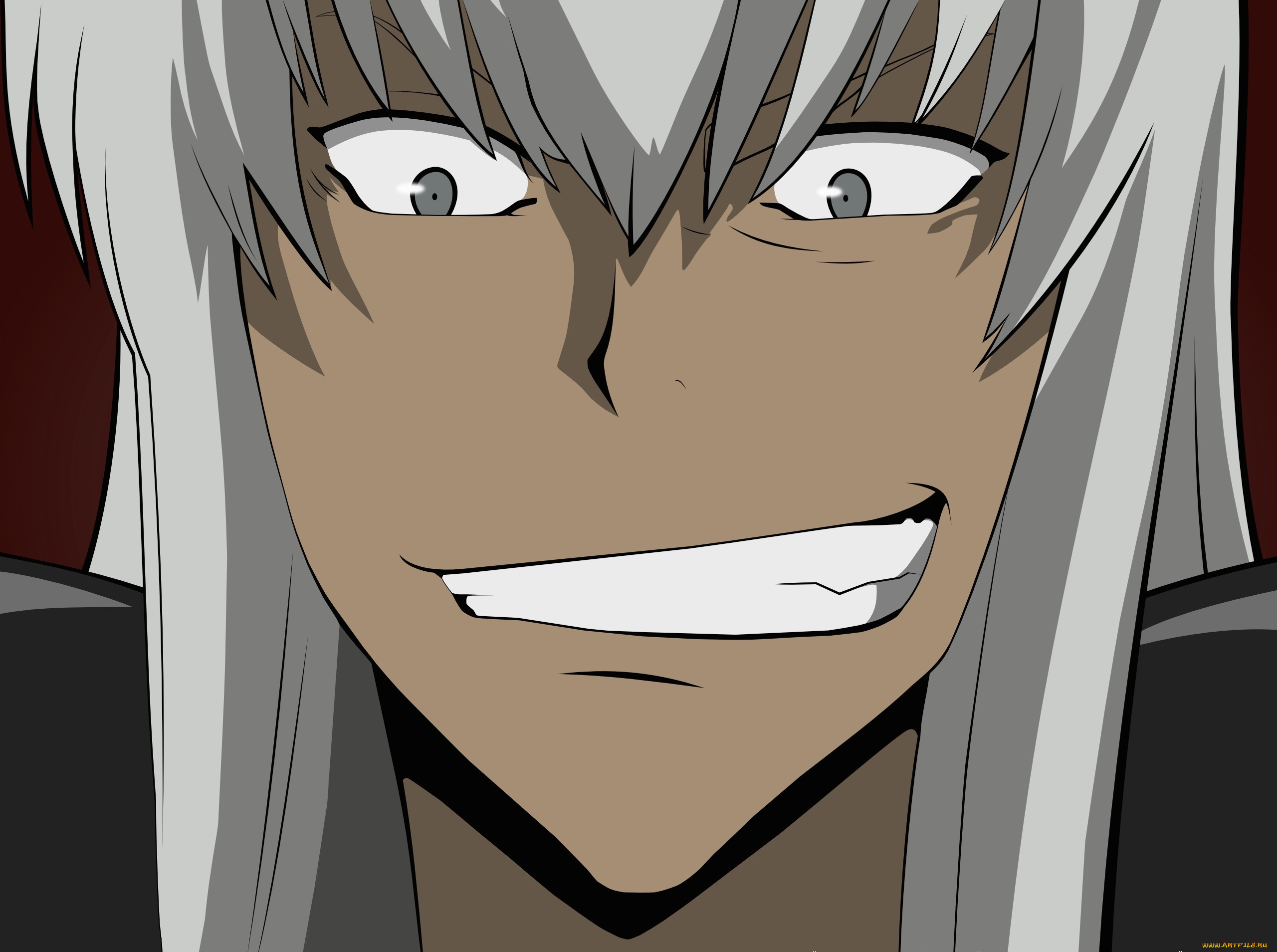 аниме, katekyo, hitman, reborn, мечник, серые, волосы, скуалло, парень, учитель, мафиози, реборн, портрет, взгляд, улыбка