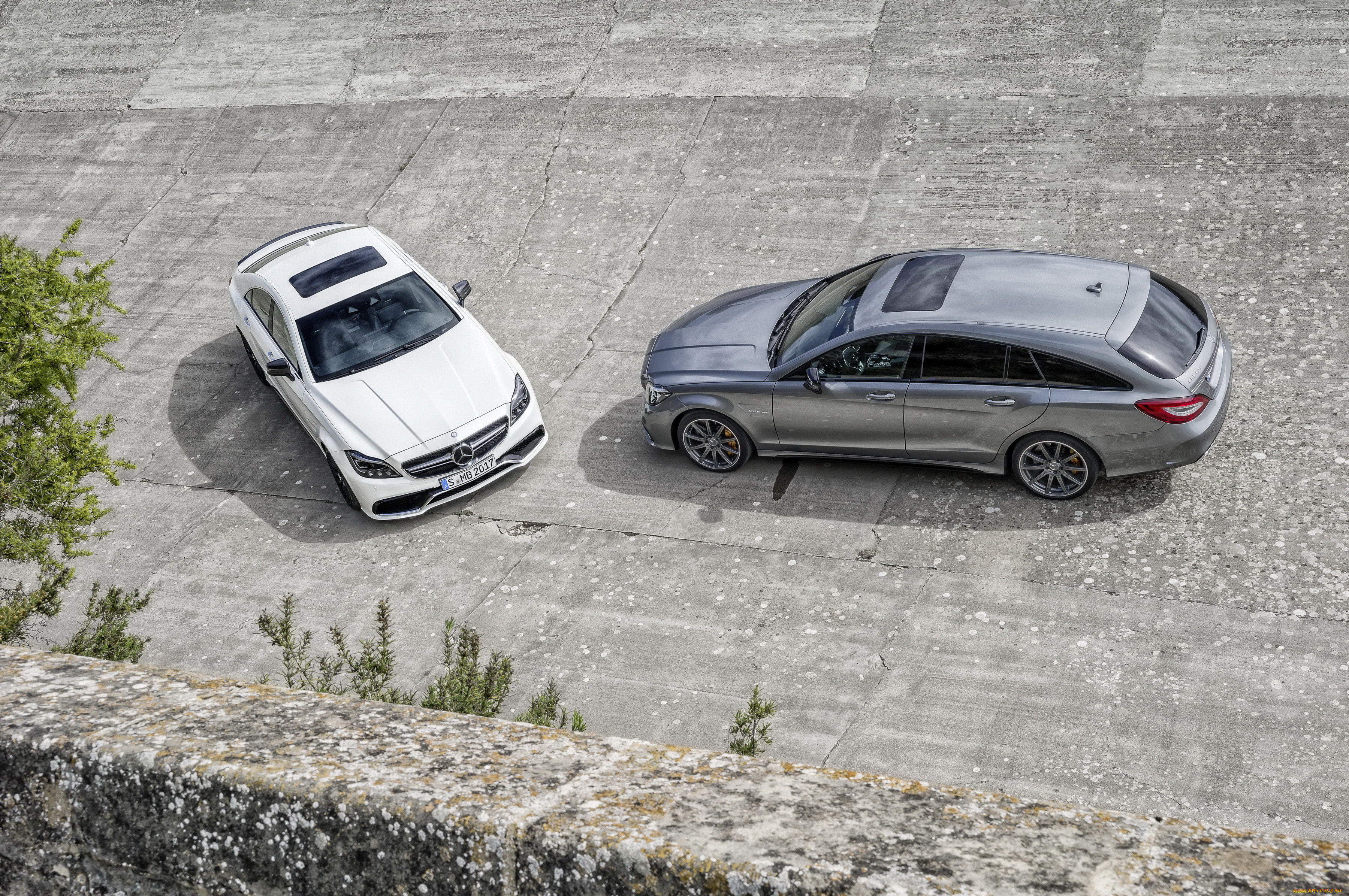 2014, mercedes-benz, cls, 63, amg, shooting, brake, автомобили, mercedes-benz, два, серый, тюнинг, белый