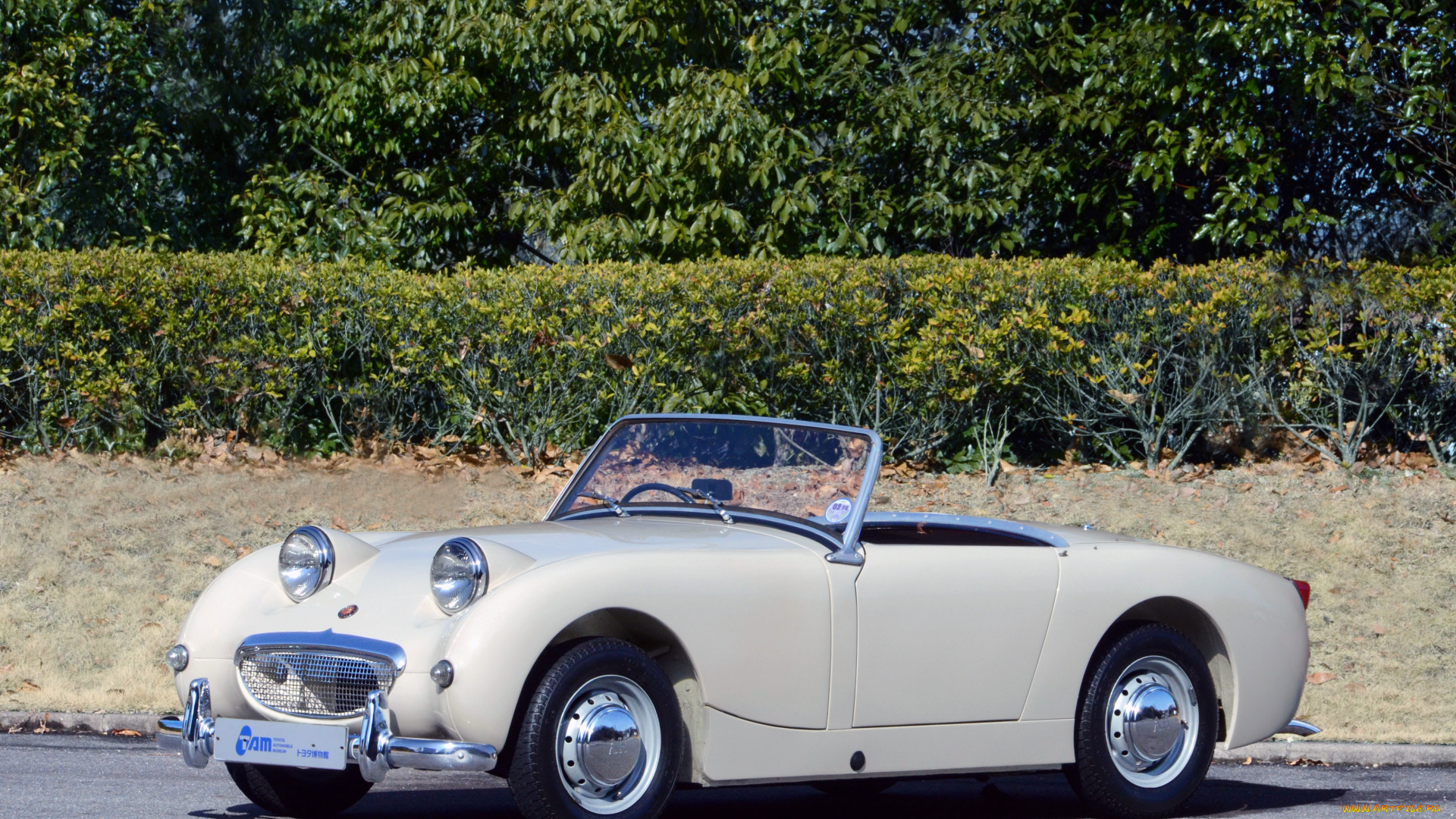 автомобили, austin, austin-healy