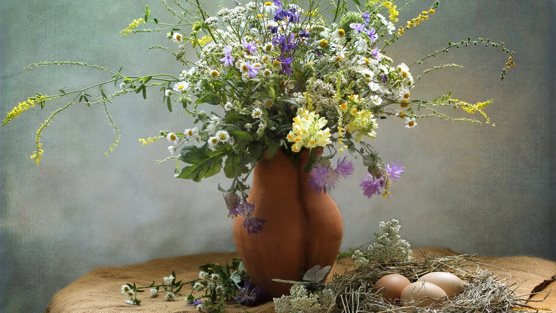 цветы, букеты, , композиции, львиный, зев, ромашки, гнездо, яйца, текстура, кувшин, василек, лето, тысячелистник, полевые, букет