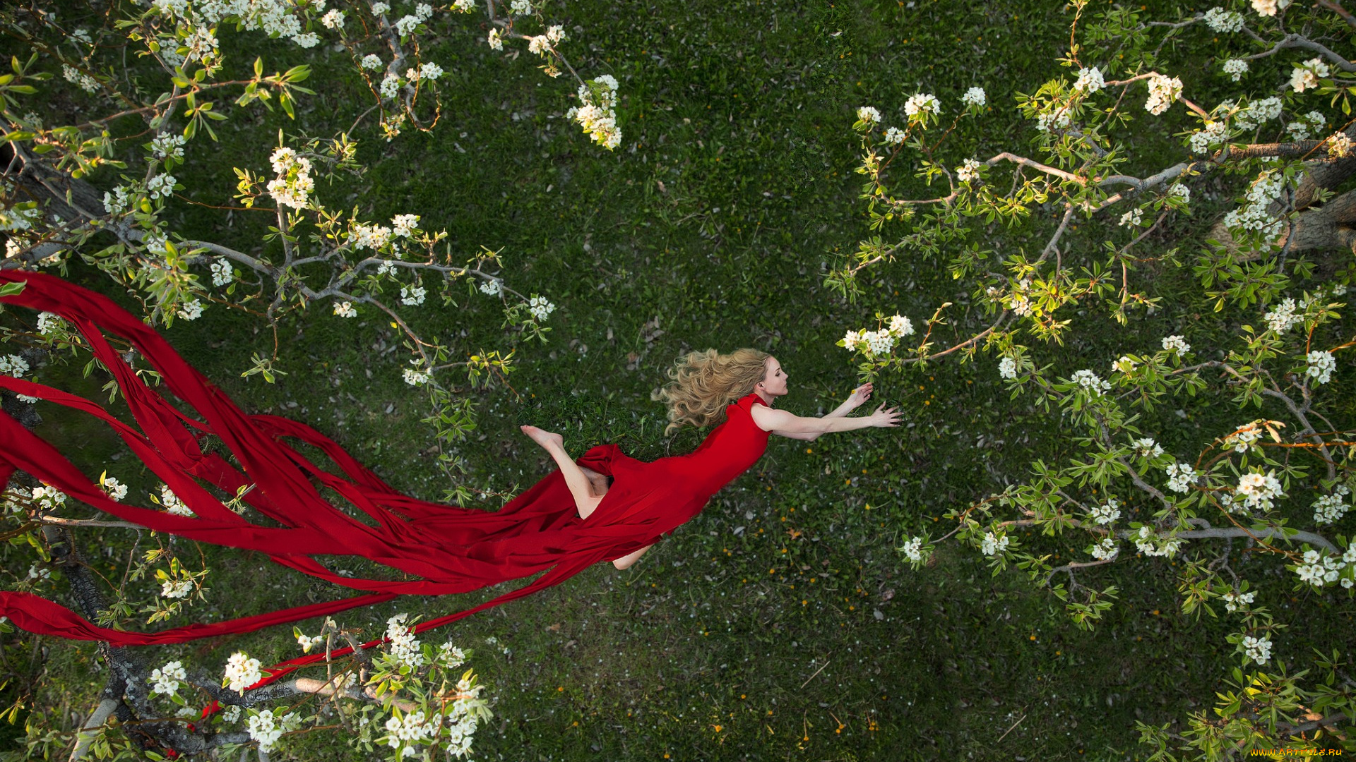 девушки, -unsort, , креатив, девушка, colleen, bachmann, настроение, деревья, сад, платье, красное, полёт, весна, цветение