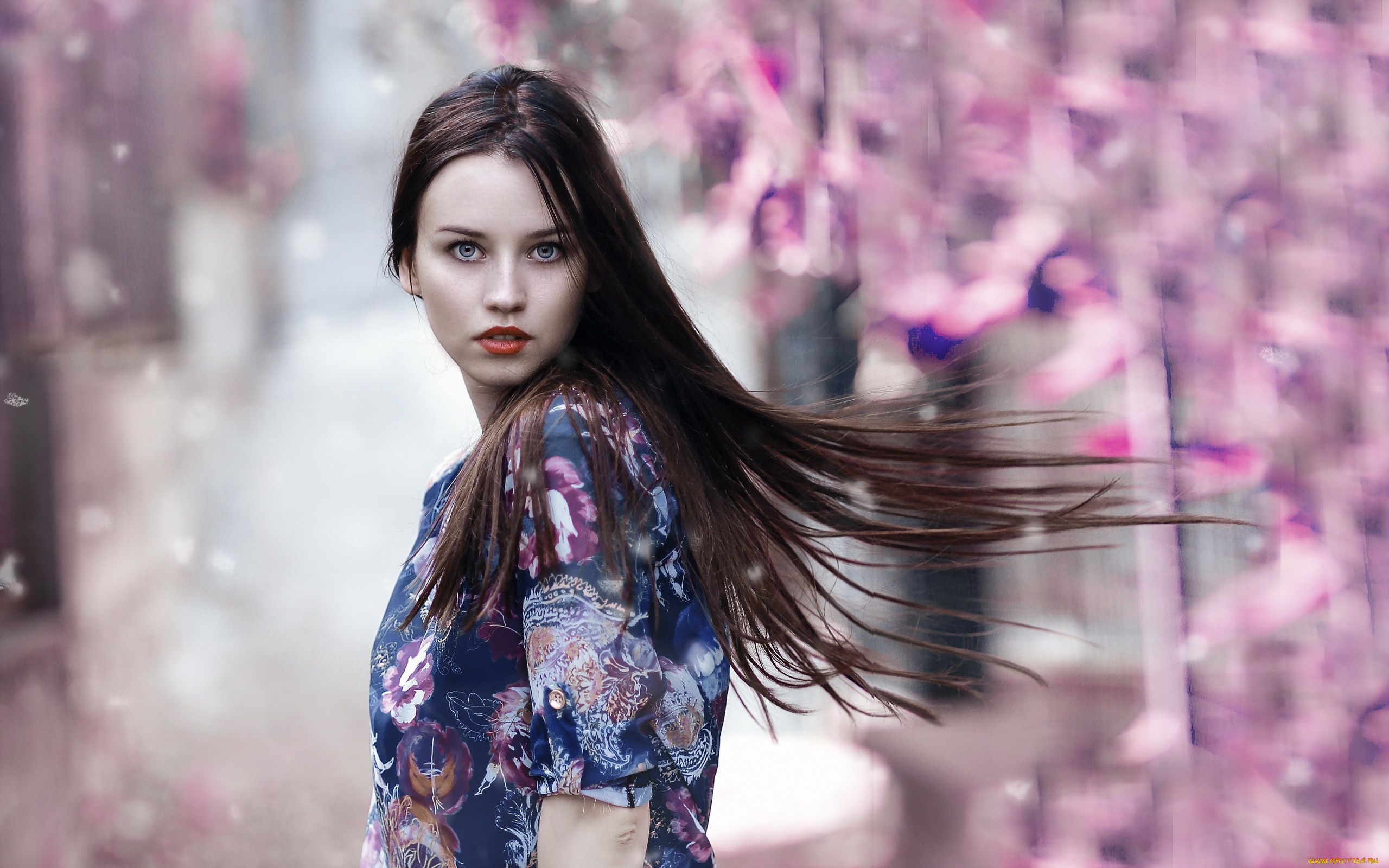 девушки, -unsort, , брюнетки, , шатенки, девушка, взгляд, волосы