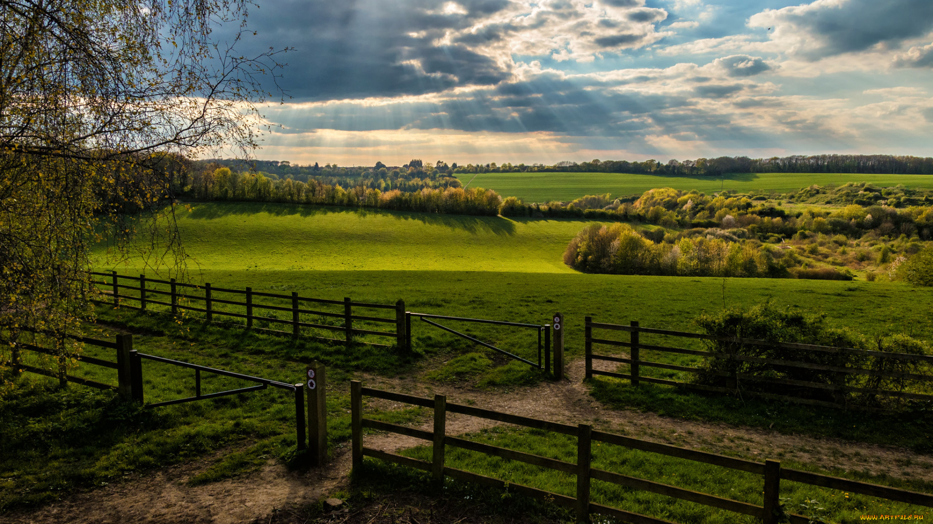 природа, пейзажи, простор