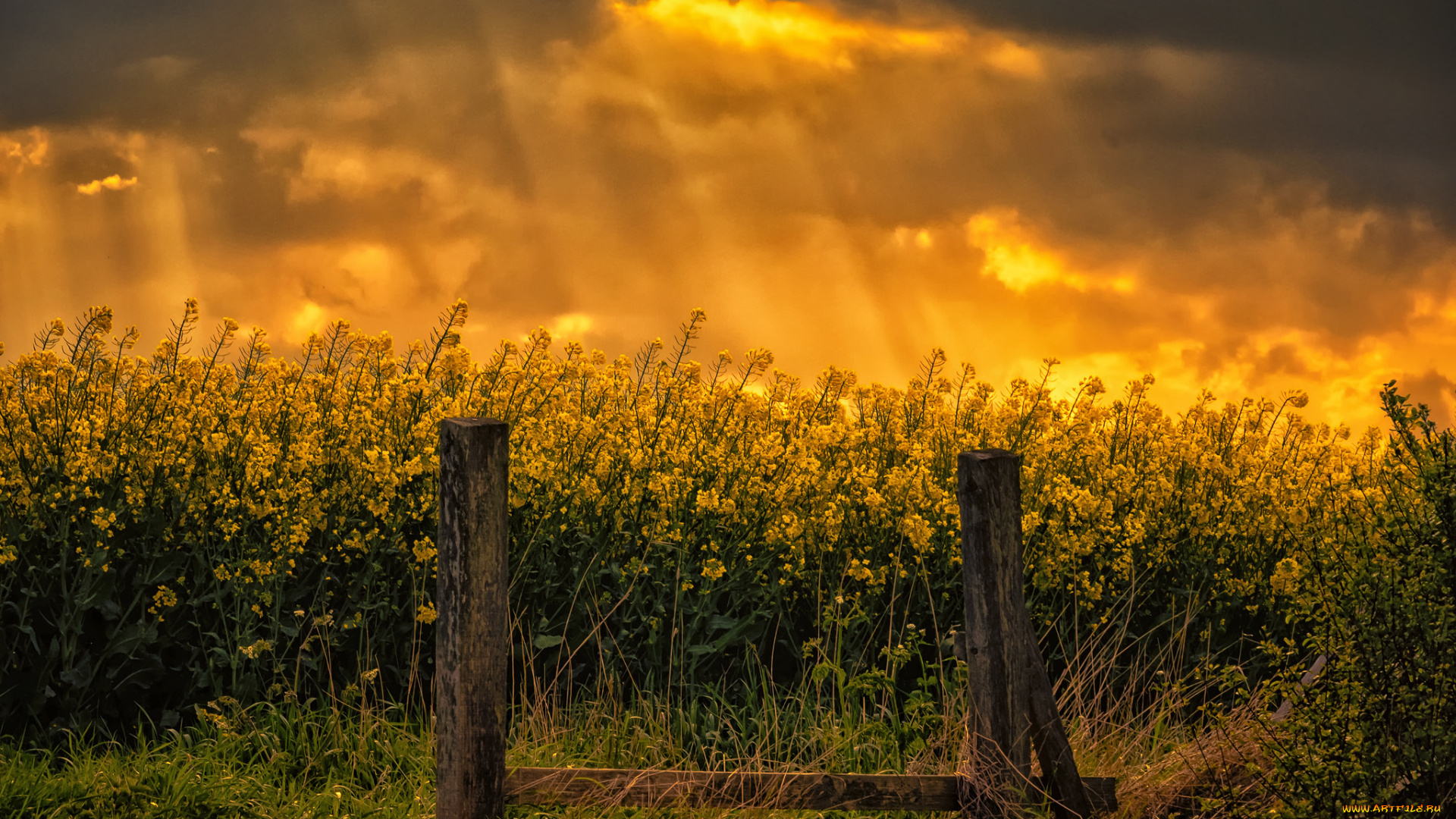 природа, пейзажи, рассвет