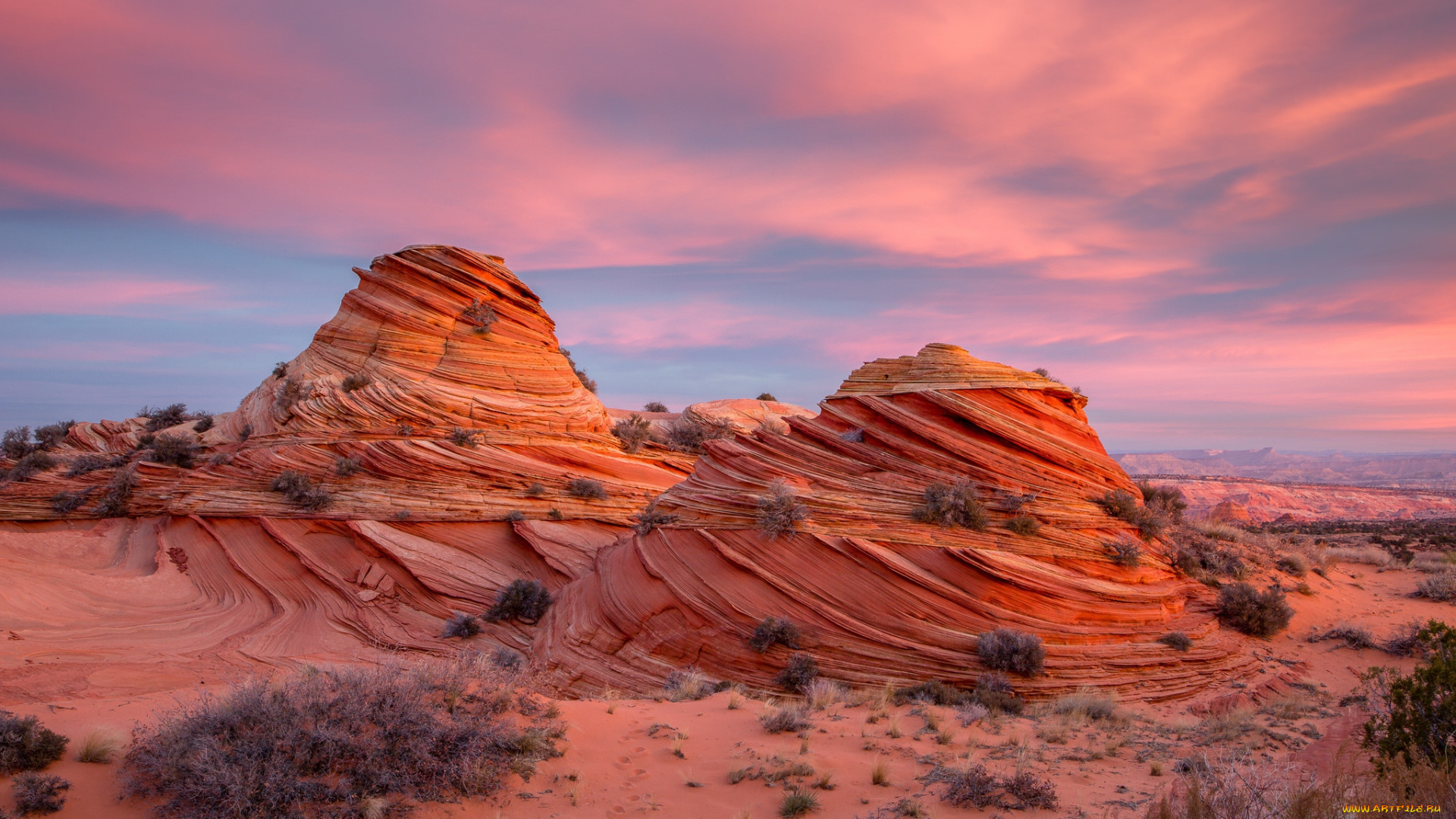 природа, пустыни, простор