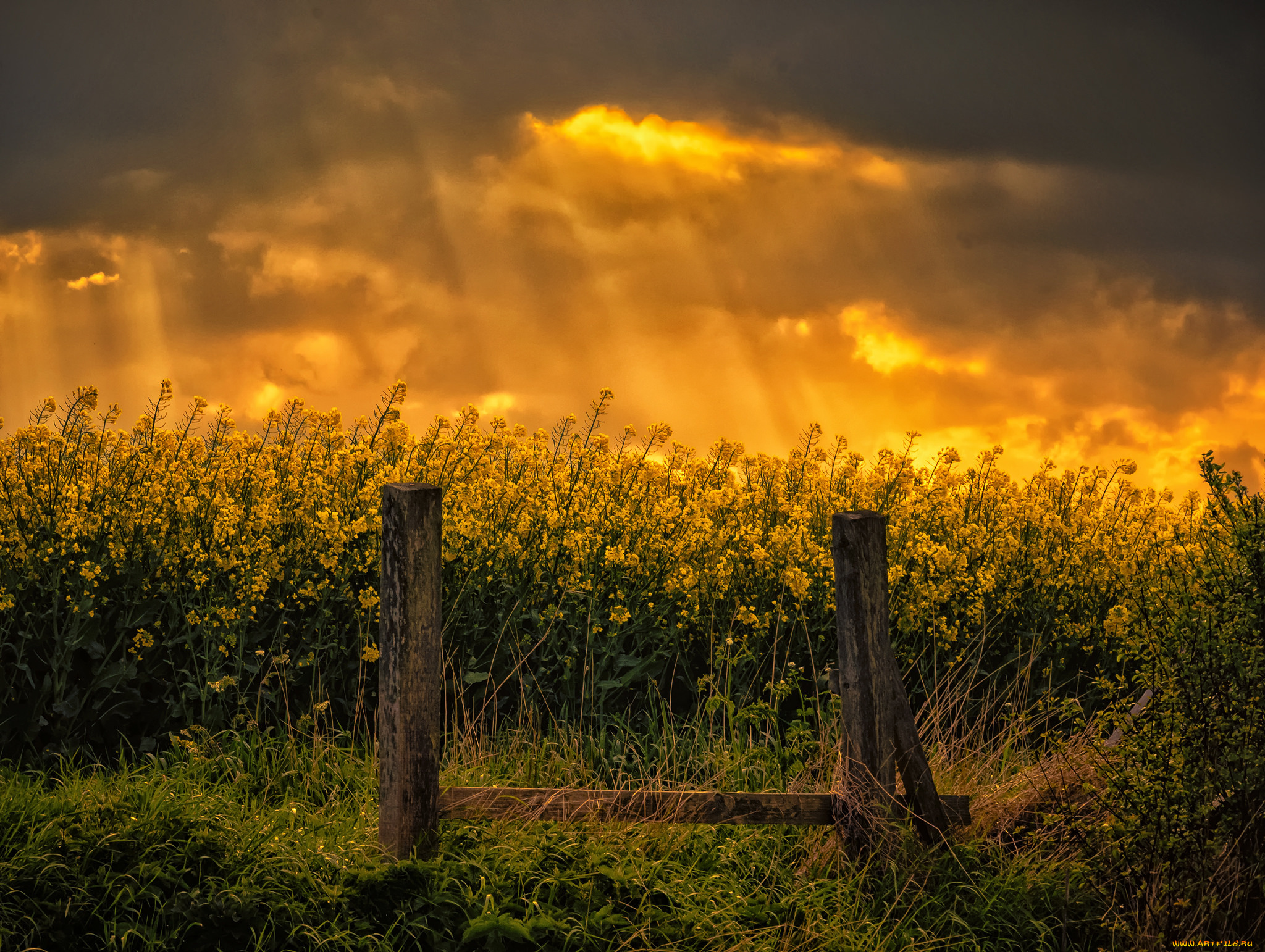 природа, пейзажи, рассвет